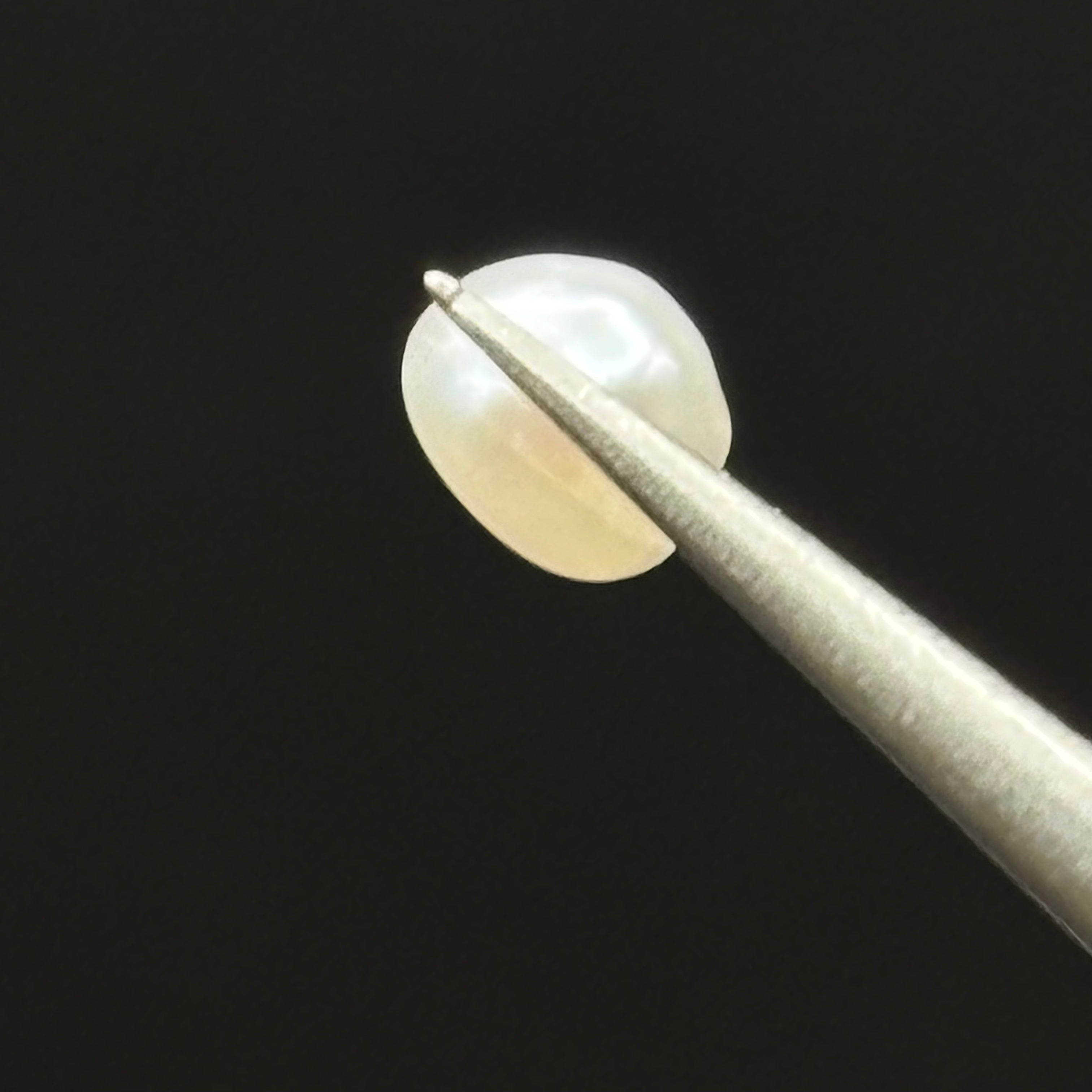 Wild Freshwater Pearl - 053