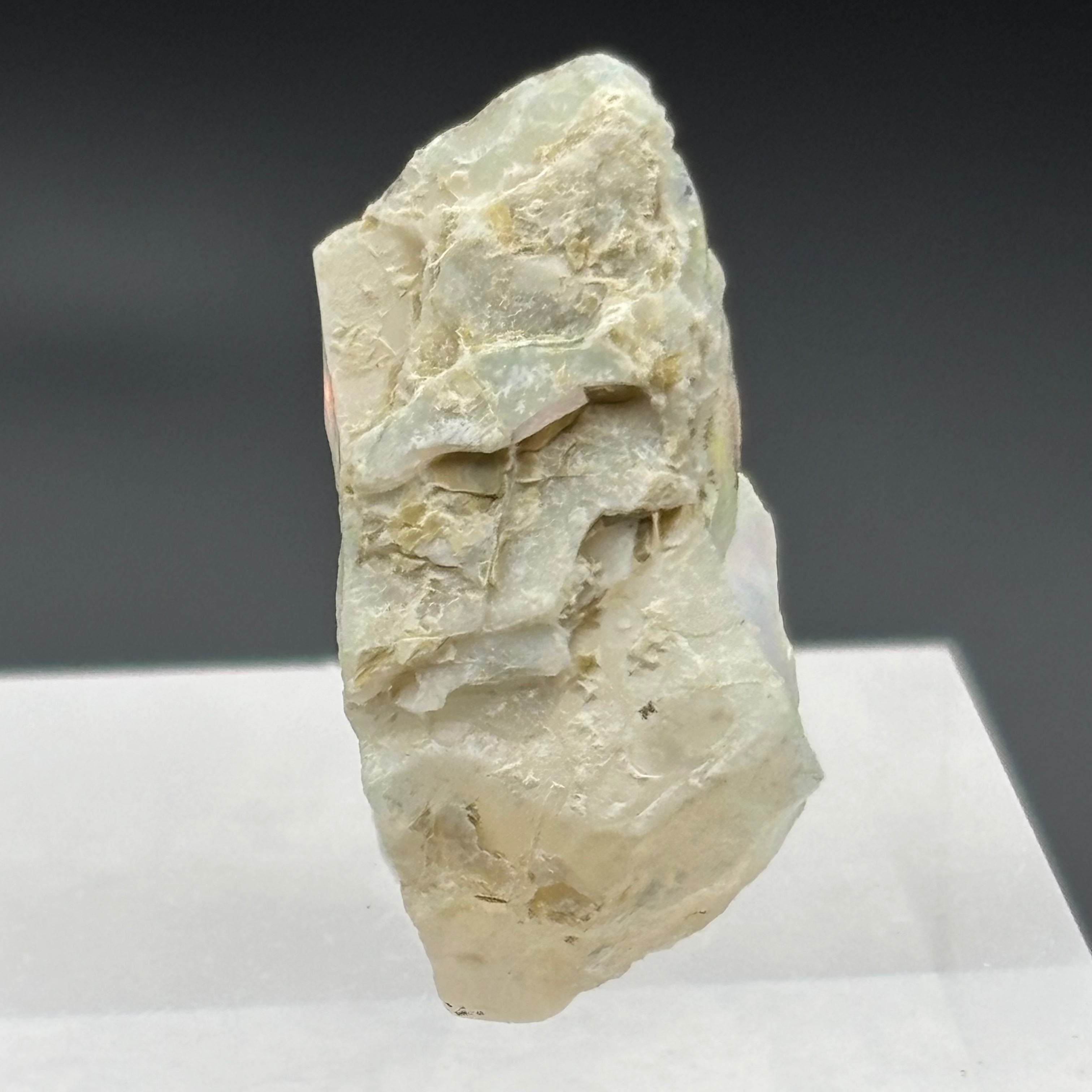 Welo Opal - 242
