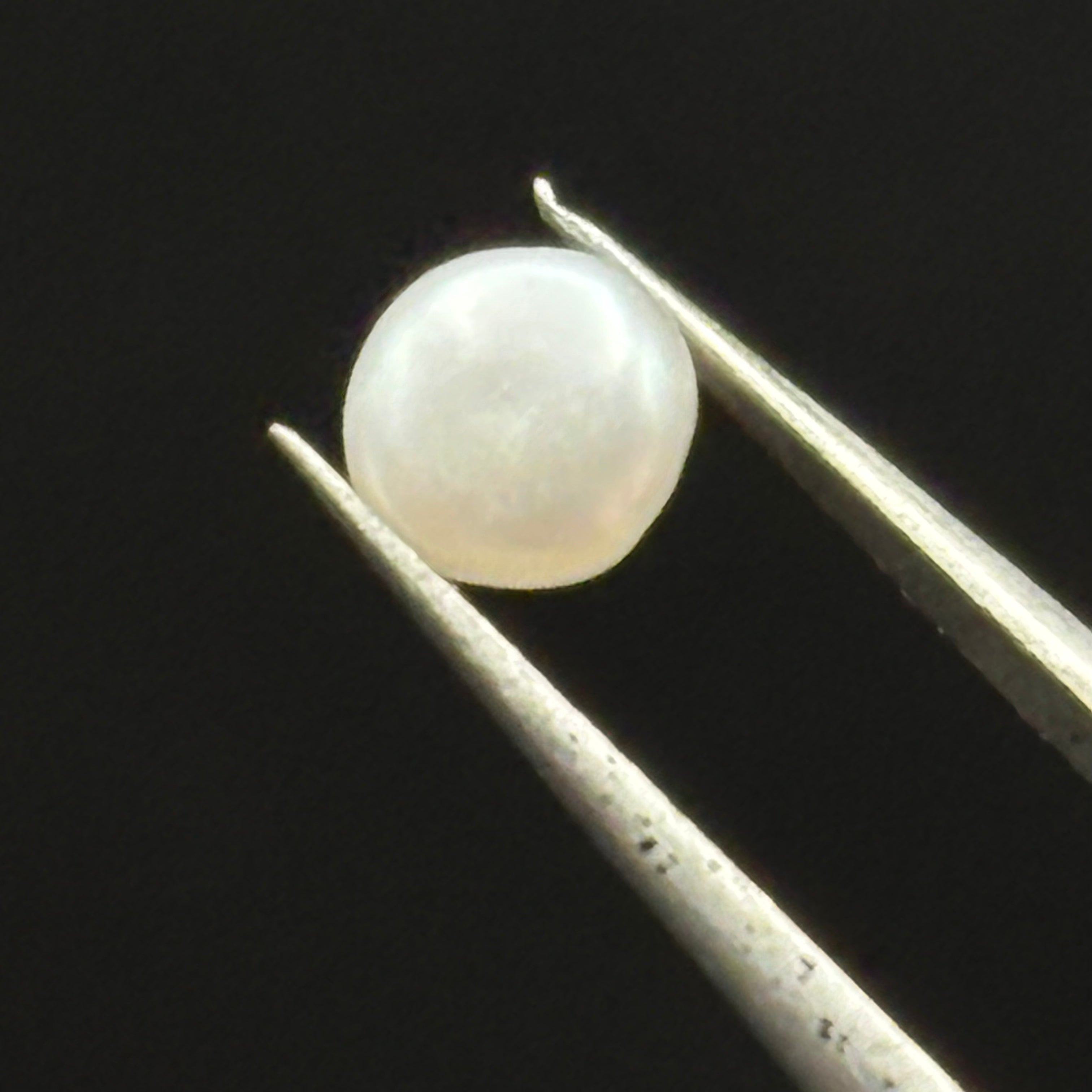 Wild Freshwater Pearl - 053