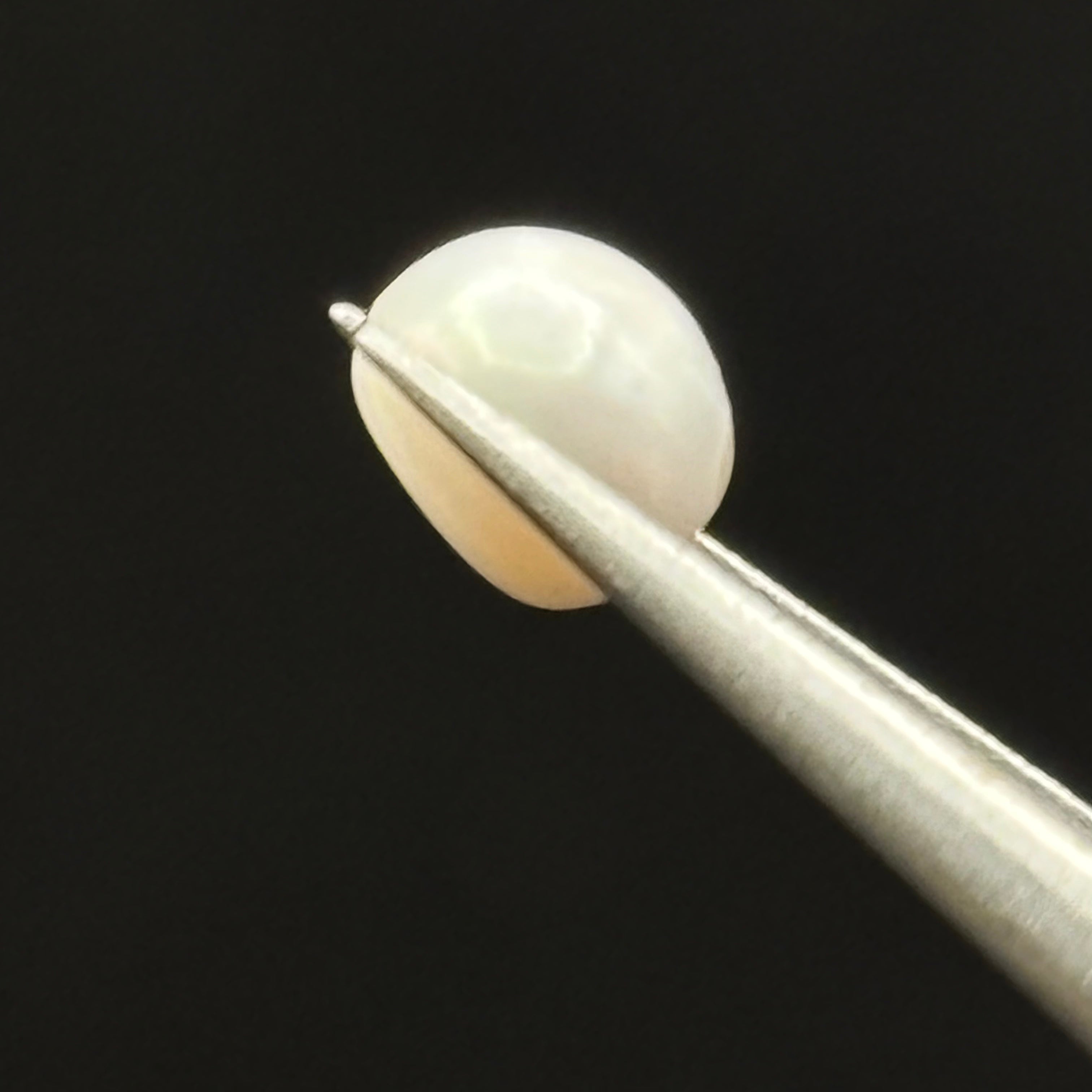 Wild Freshwater Pearl - 054