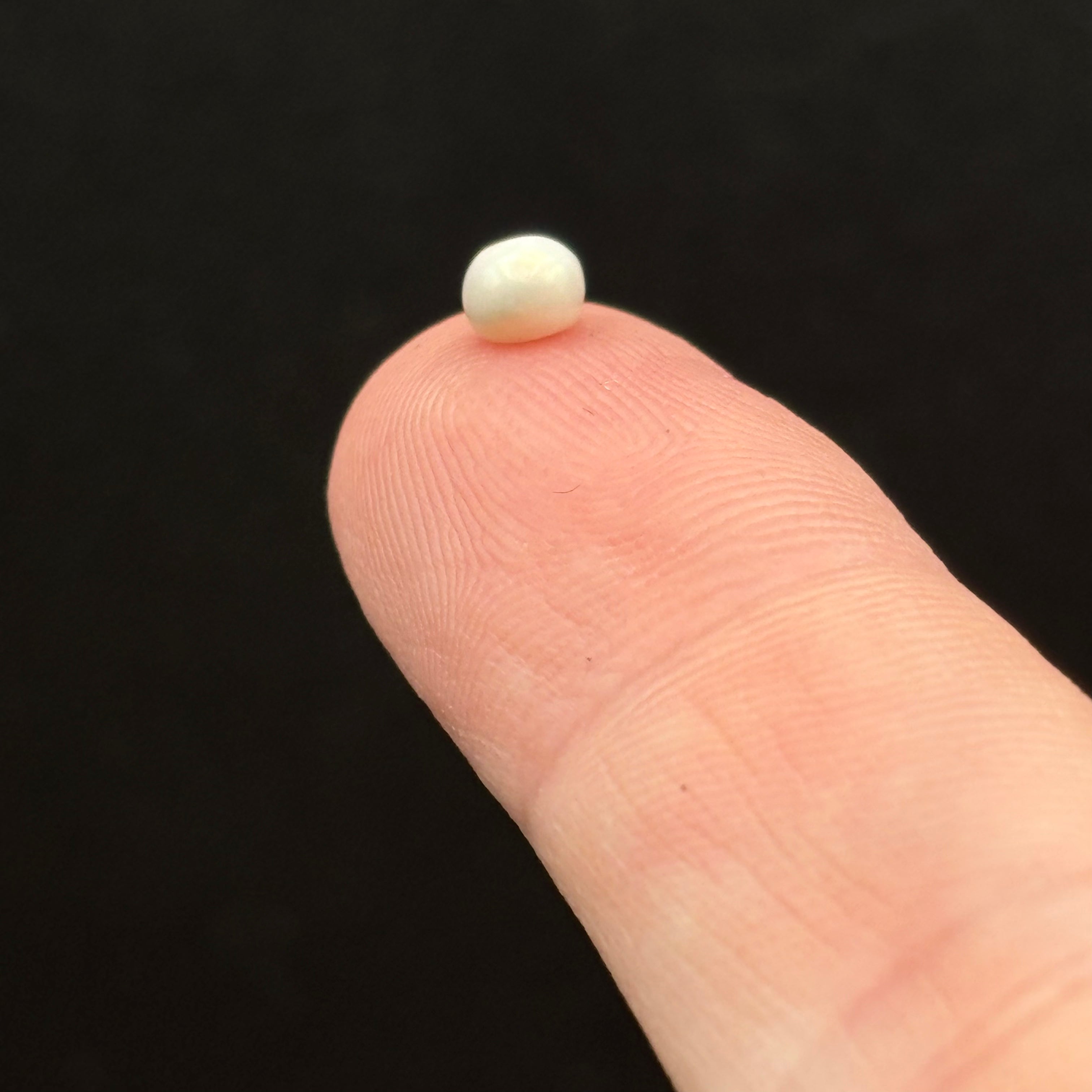 Wild Freshwater Pearl - 054