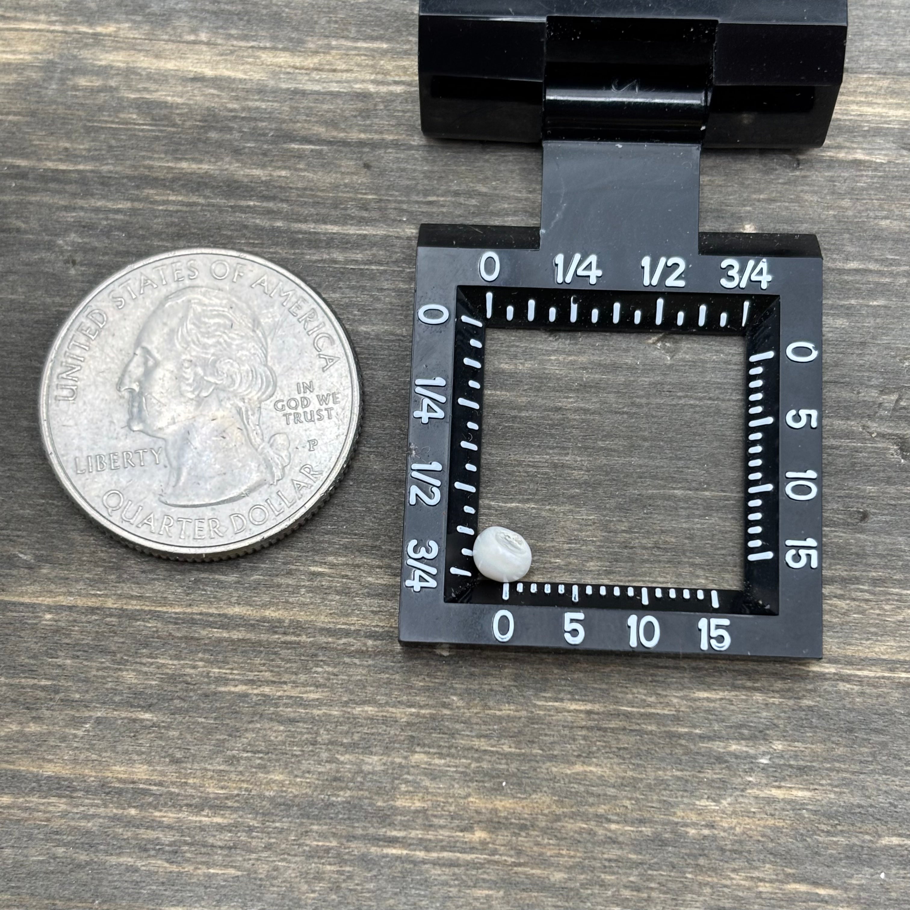 Wild Freshwater Pearl - 054