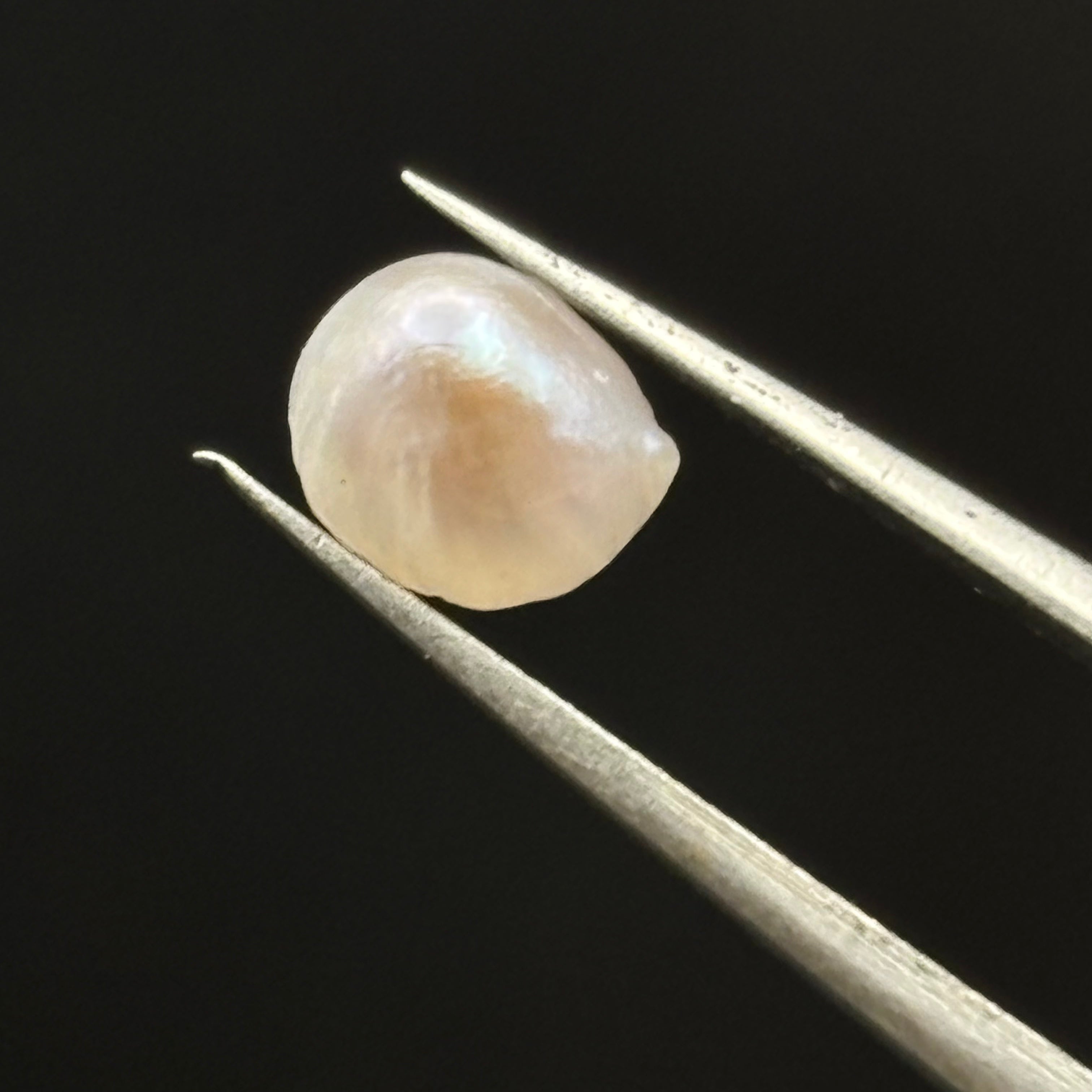 Wild Freshwater Pearl - 056