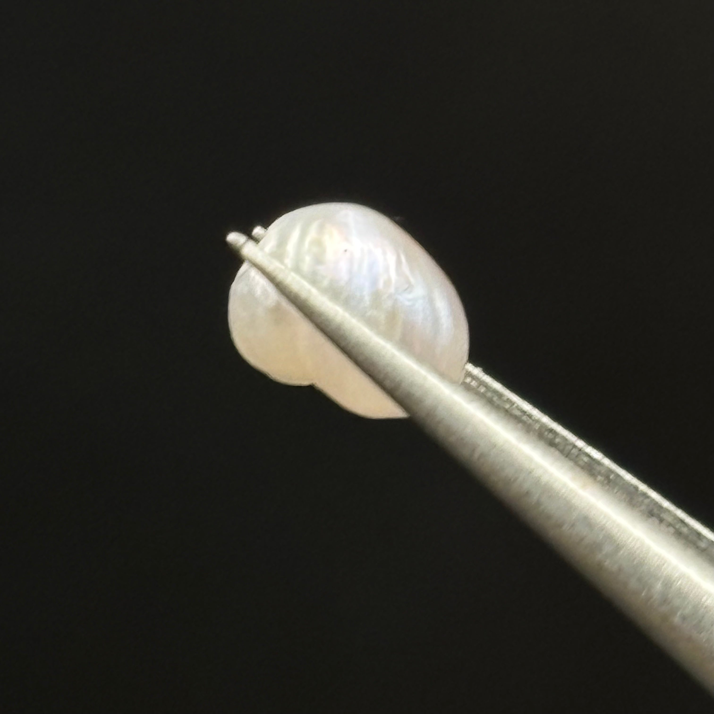 Wild Freshwater Pearl - 056