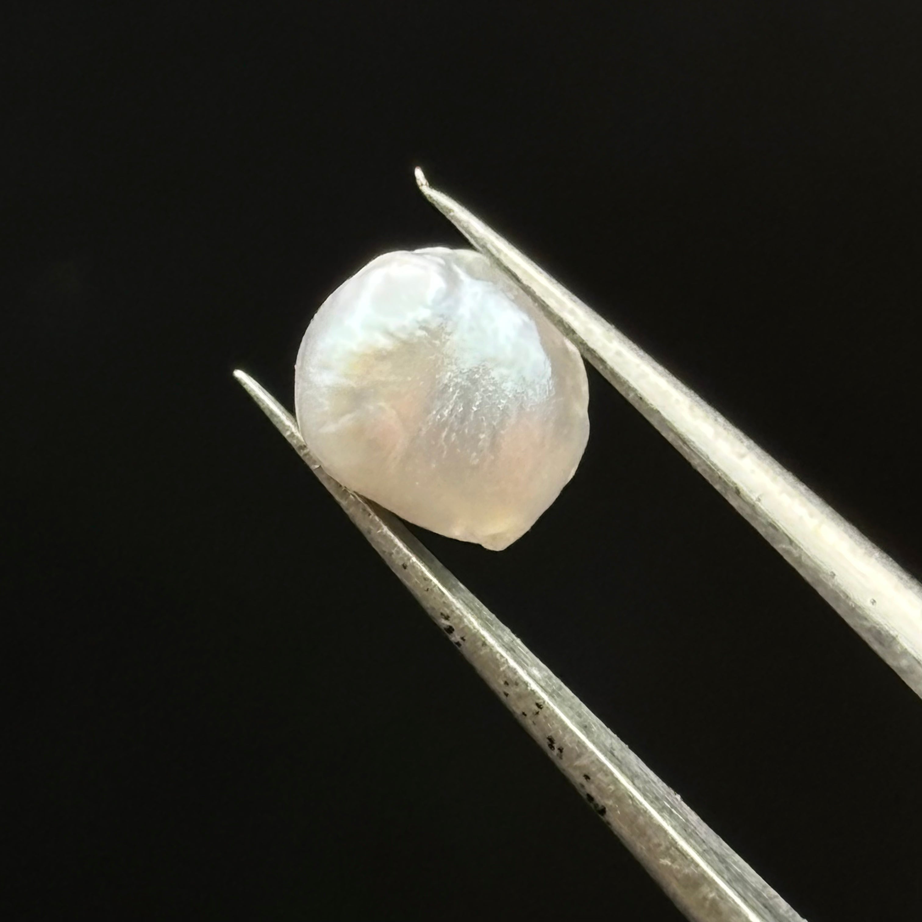 Wild Freshwater Pearl - 056