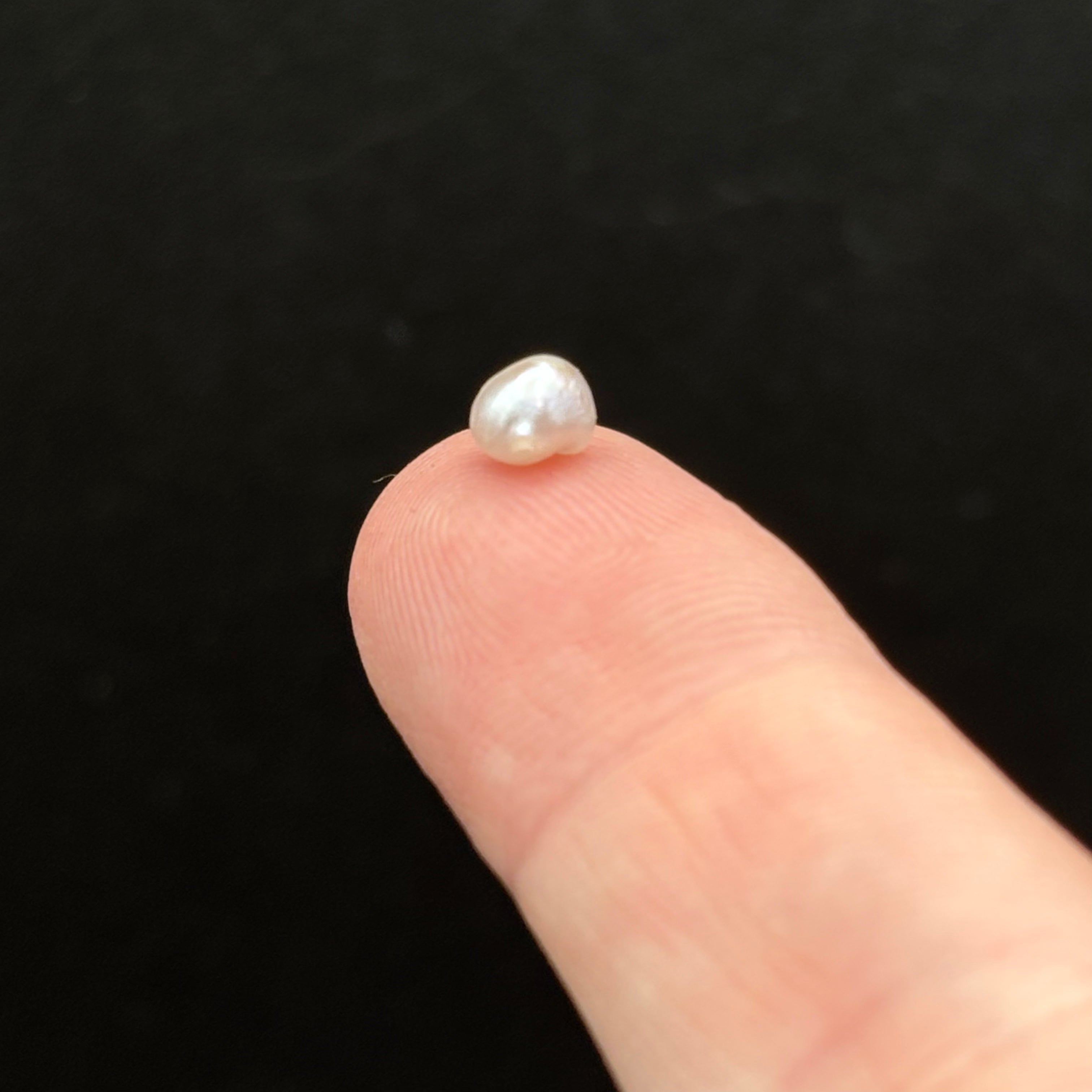 Wild Freshwater Pearl - 056