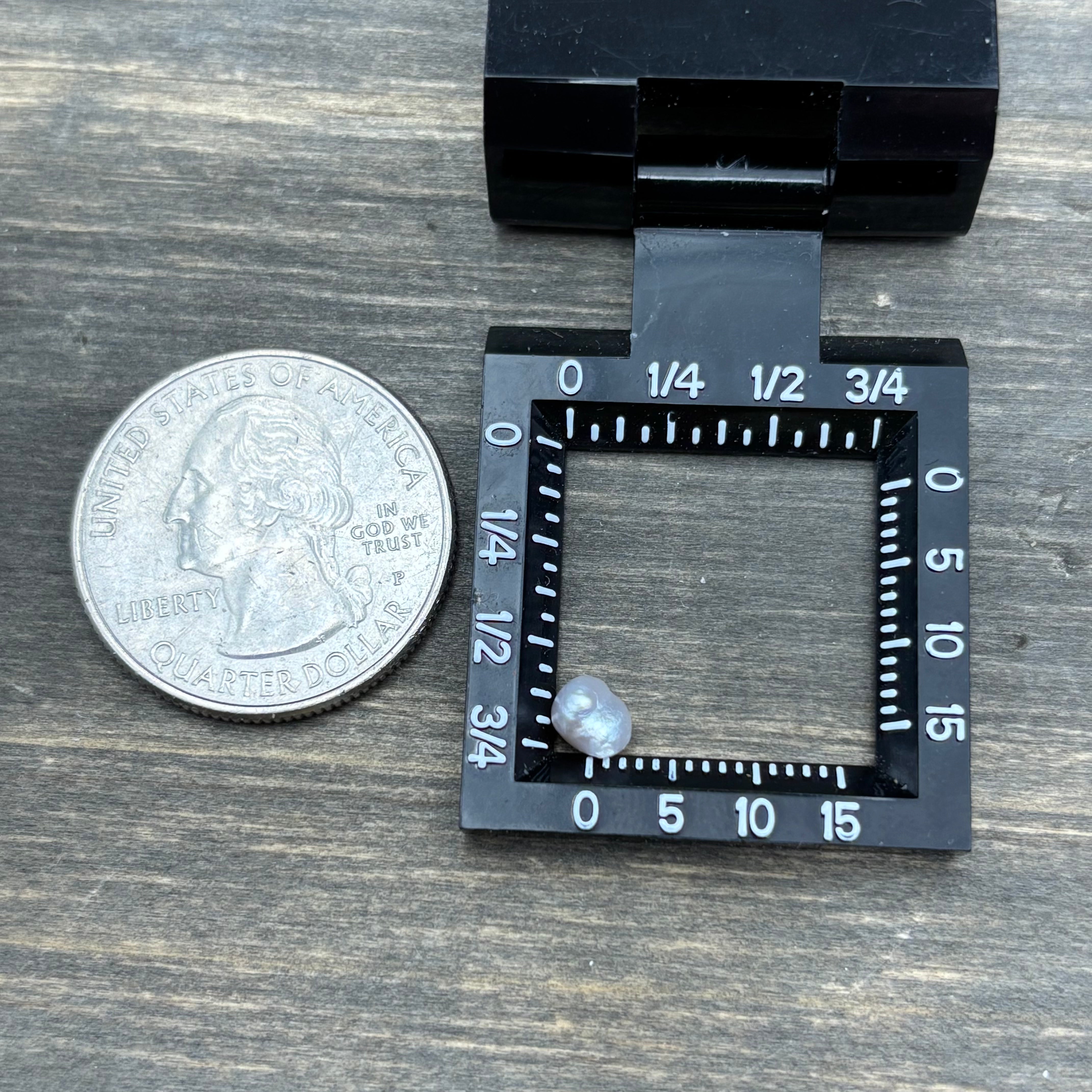 Wild Freshwater Pearl - 056