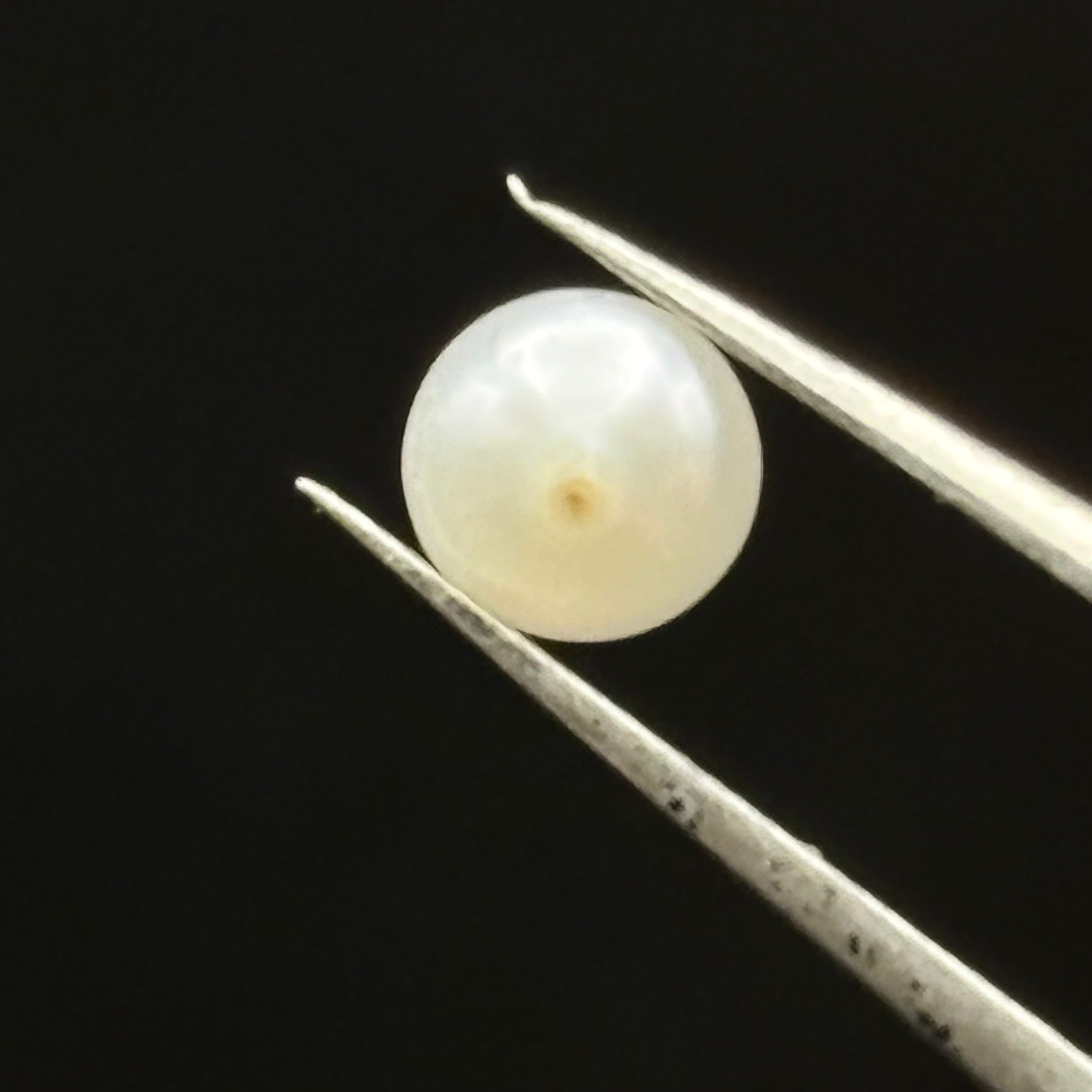 Wild Freshwater Pearl - 059