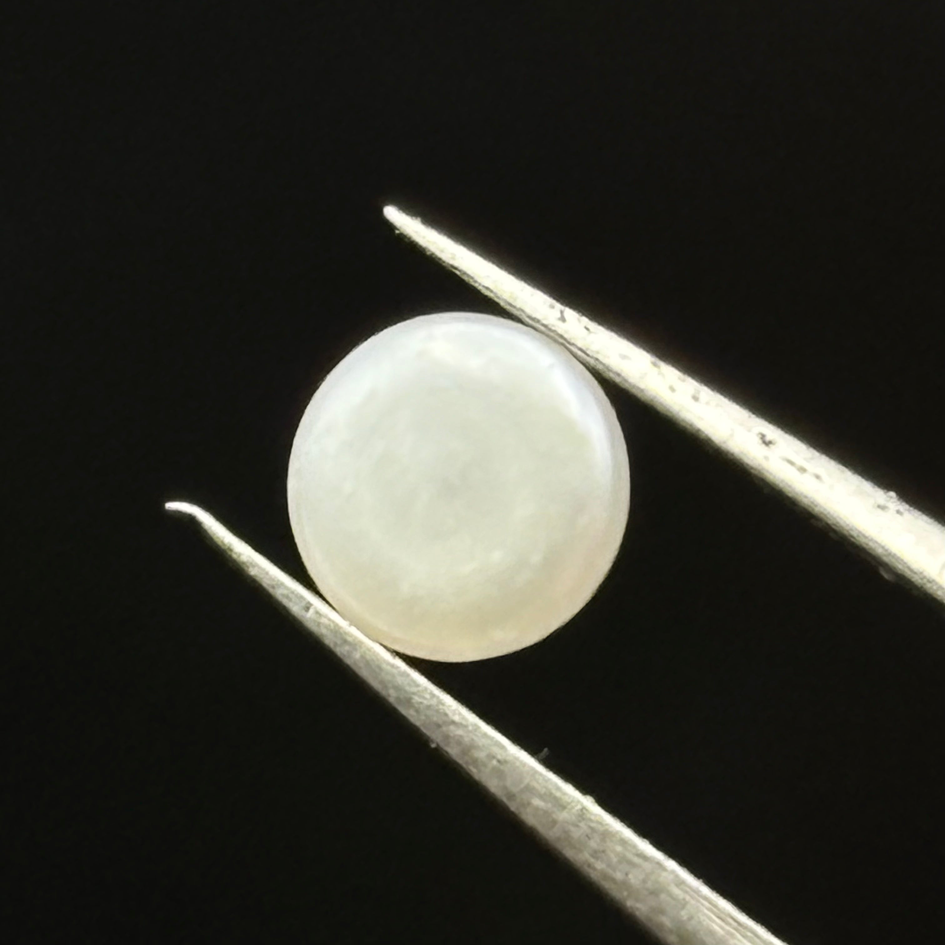 Wild Freshwater Pearl - 059