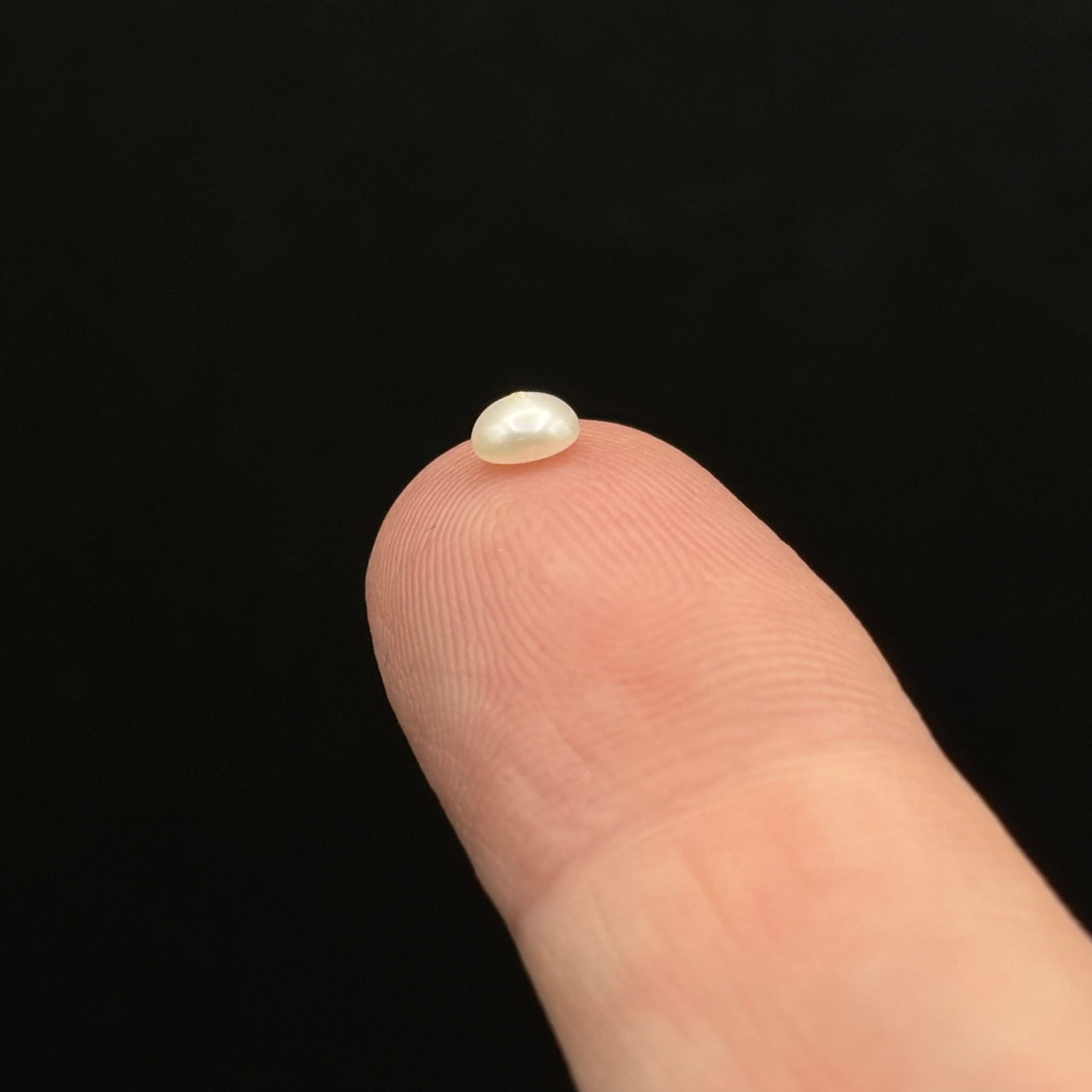 Wild Freshwater Pearl - 059