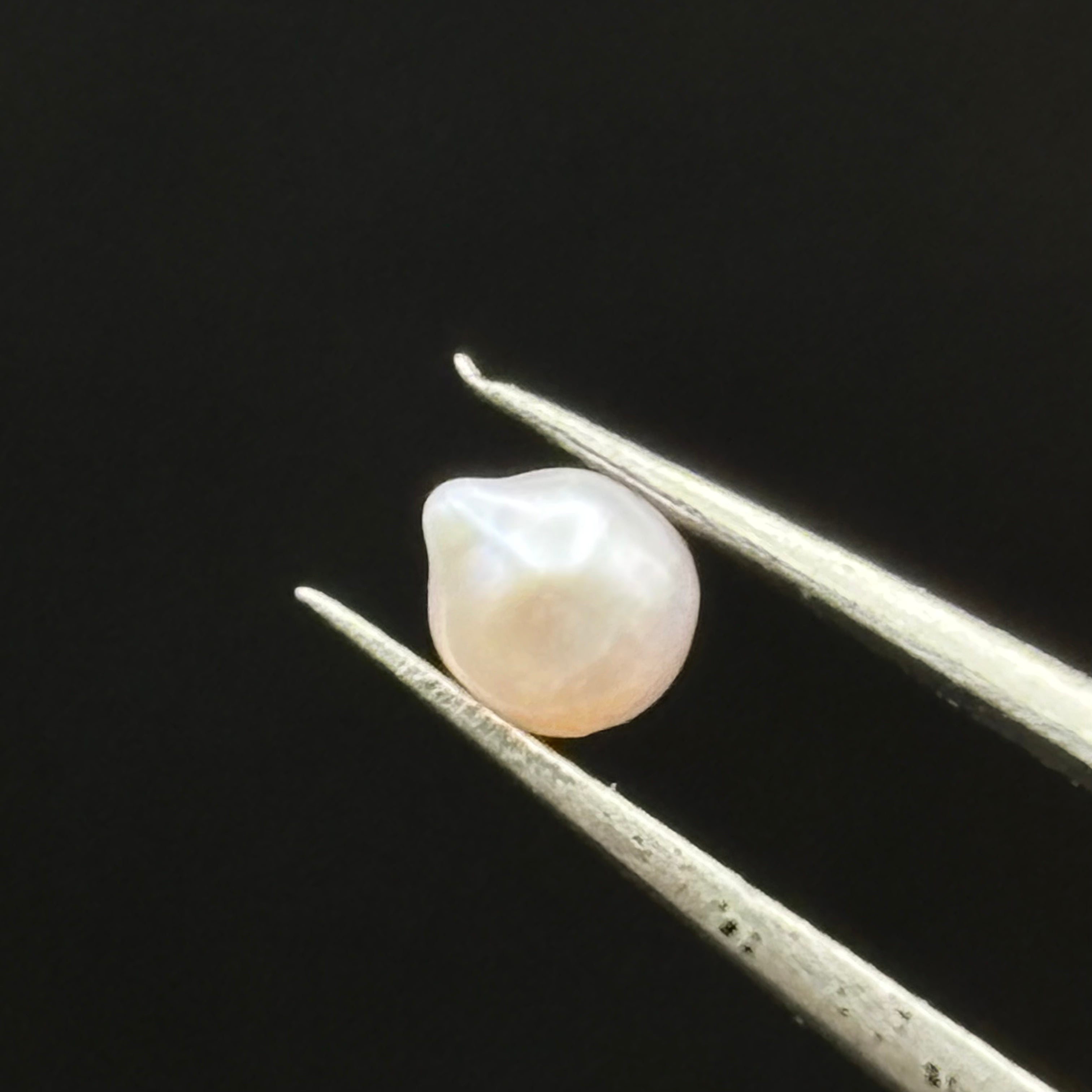 Wild Freshwater Pearl - 061