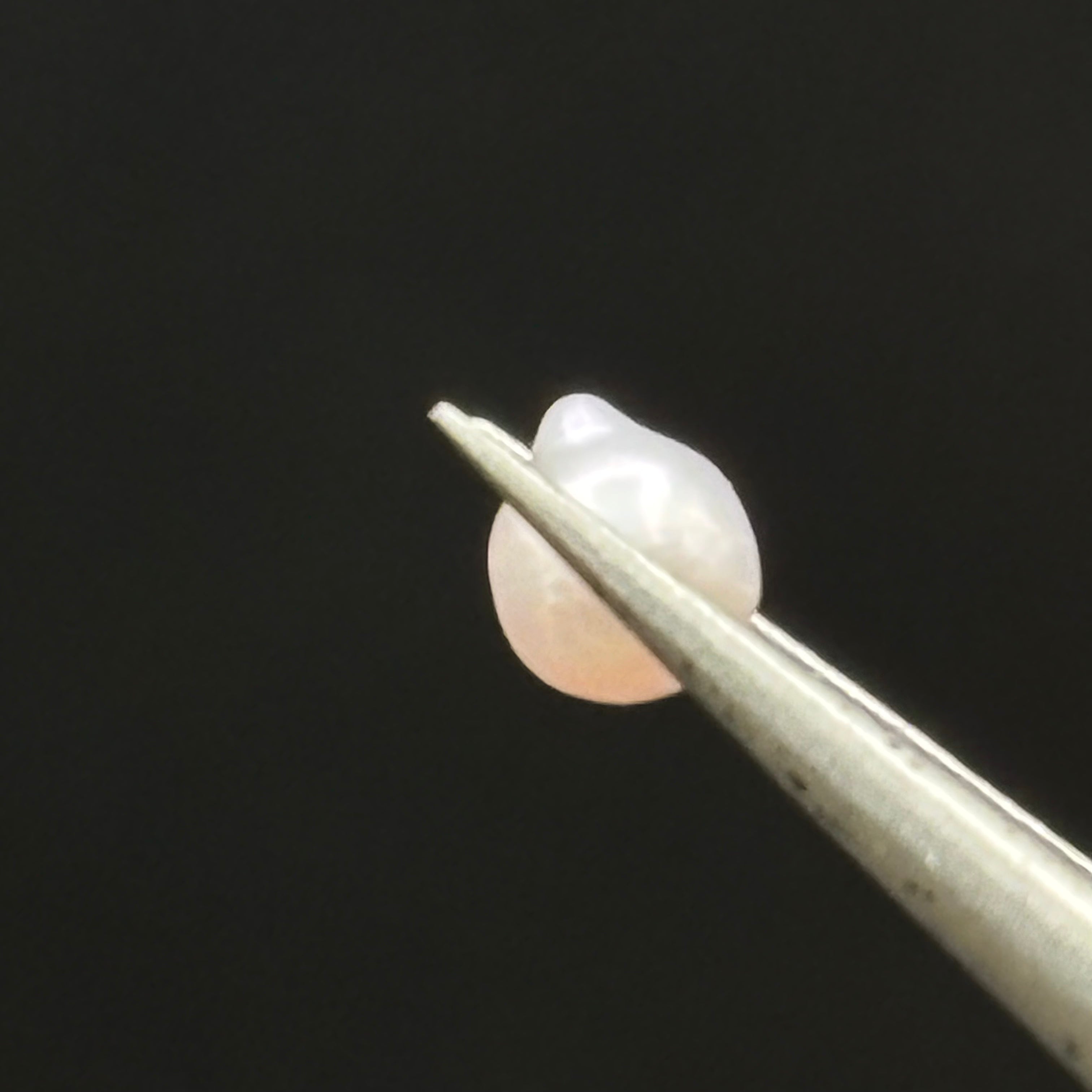 Wild Freshwater Pearl - 061