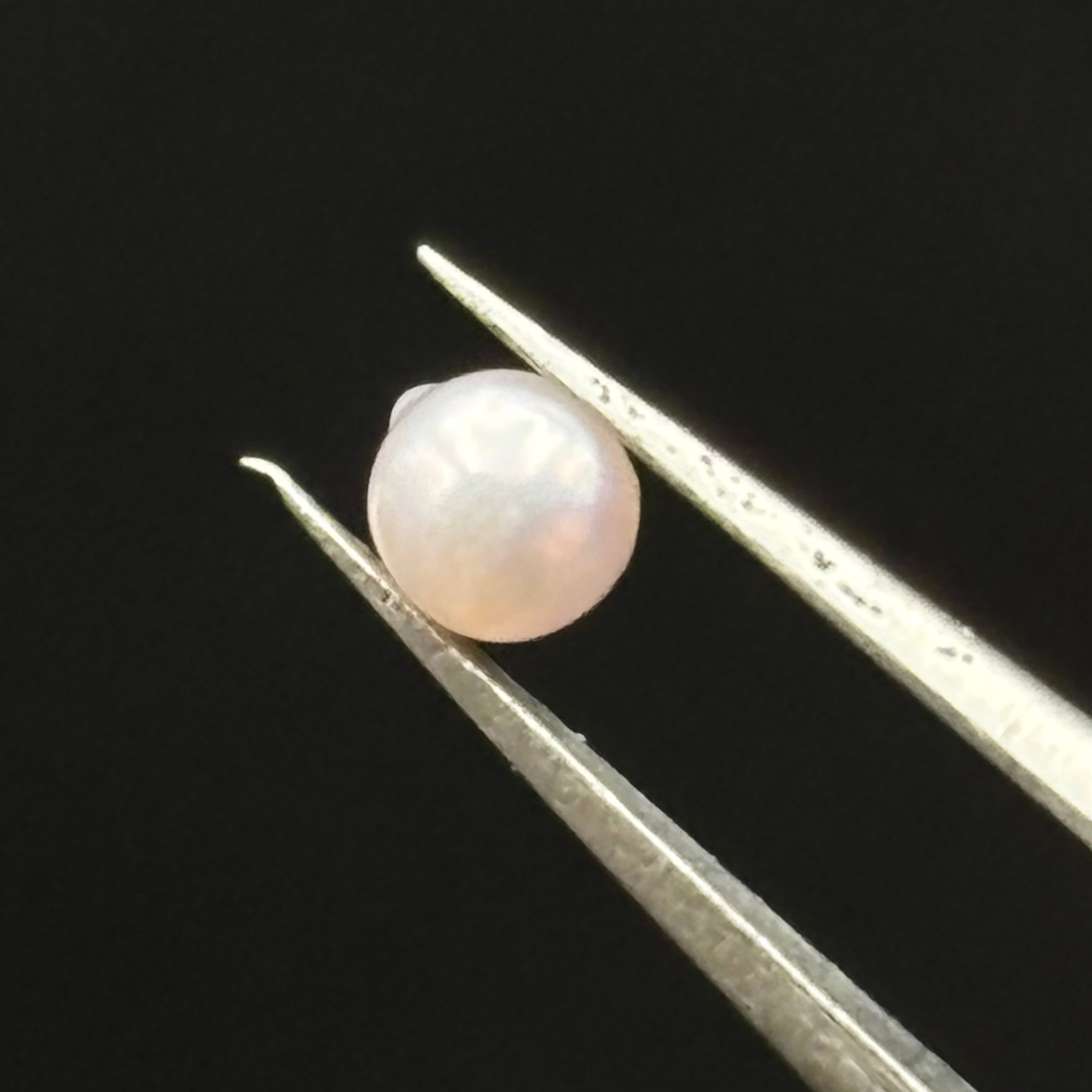 Wild Freshwater Pearl - 061