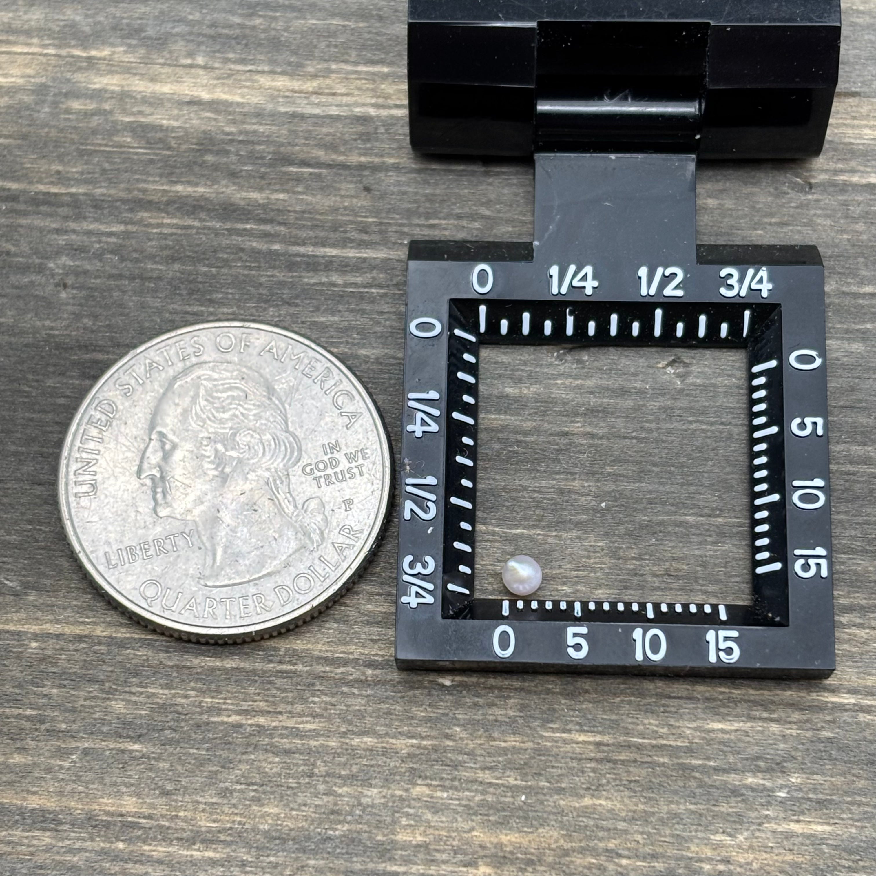 Wild Freshwater Pearl - 061