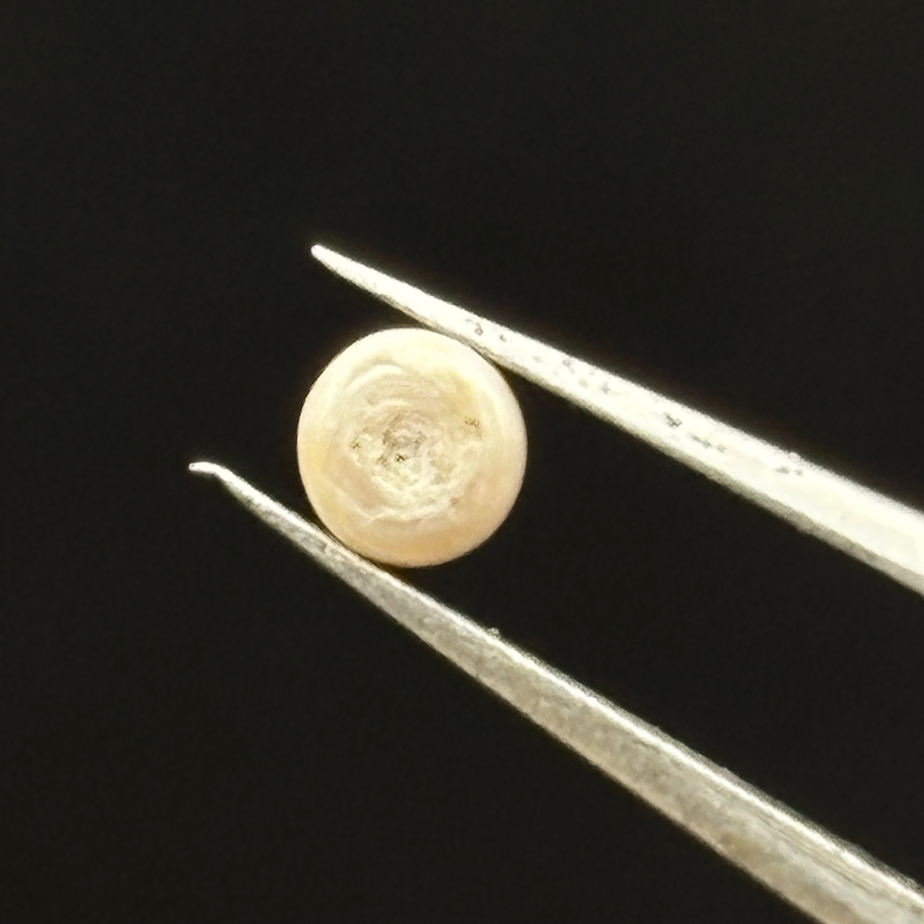 Wild Freshwater Pearl - 062