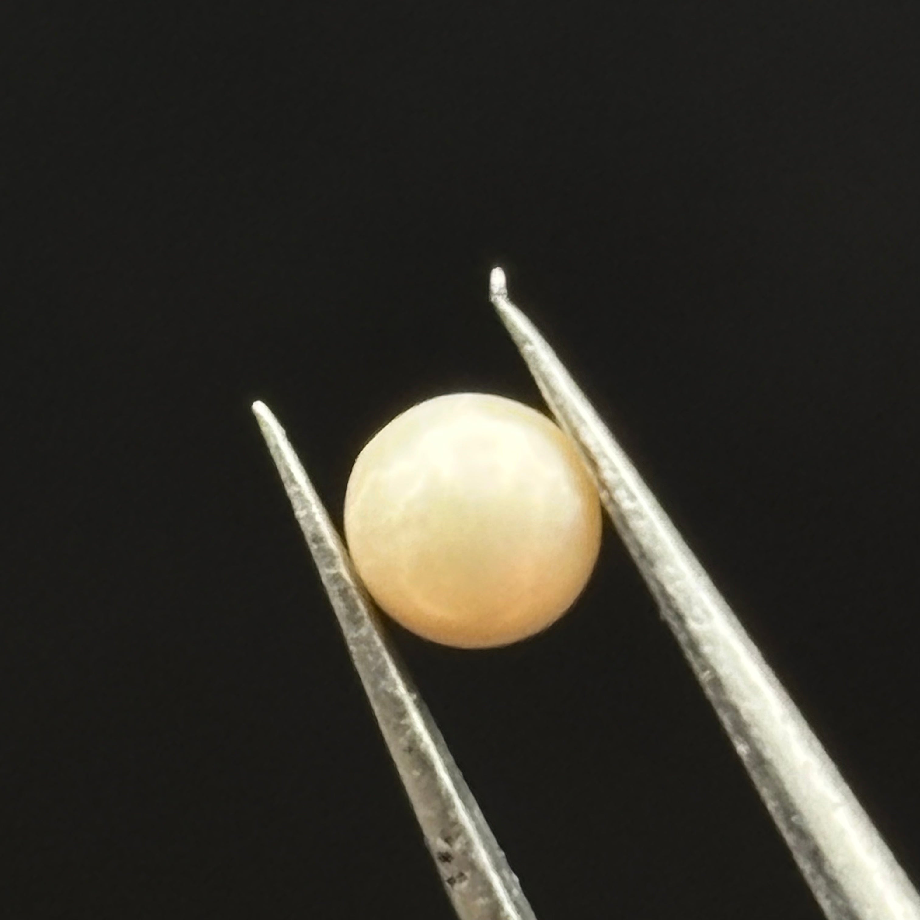 Wild Freshwater Pearl - 062