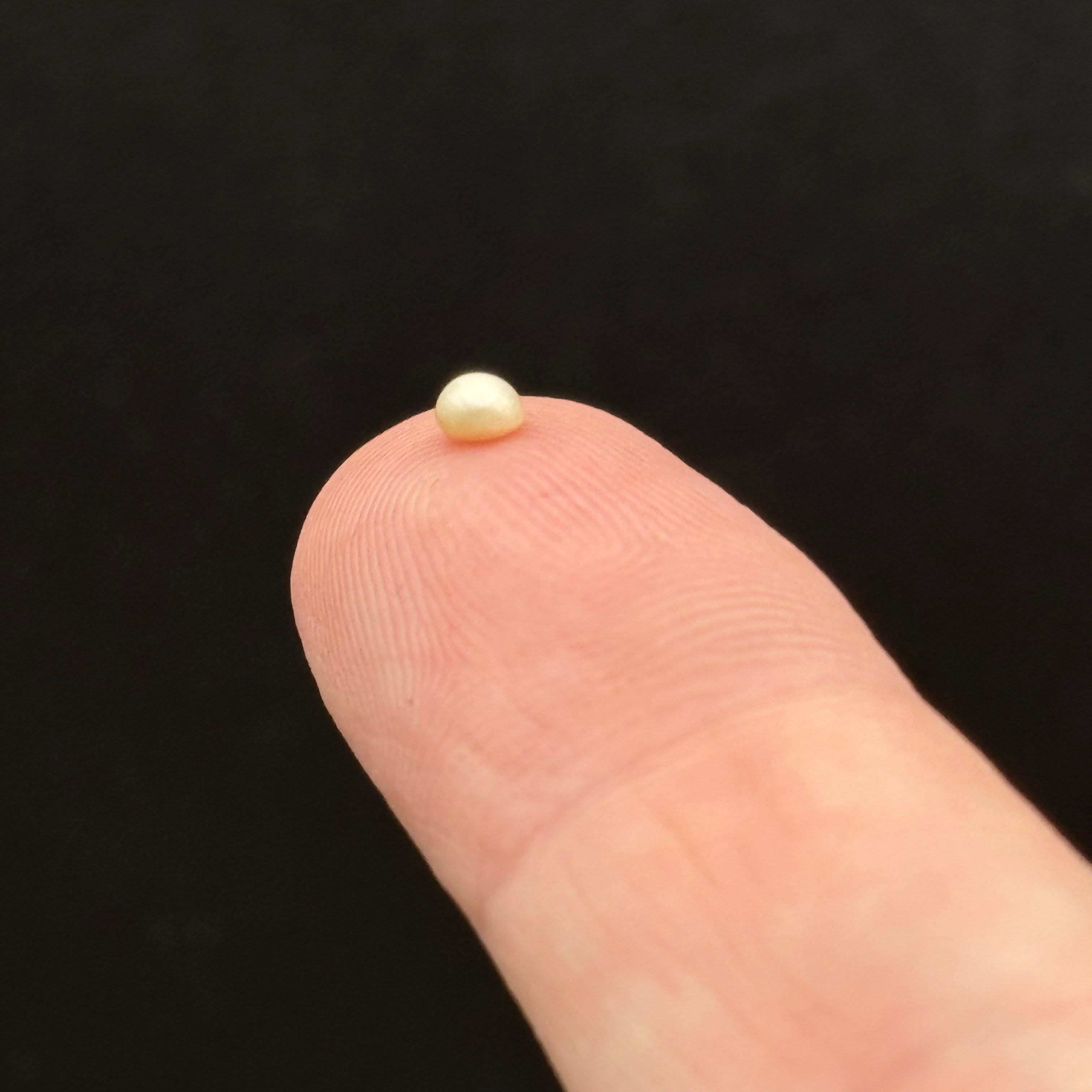 Wild Freshwater Pearl - 062