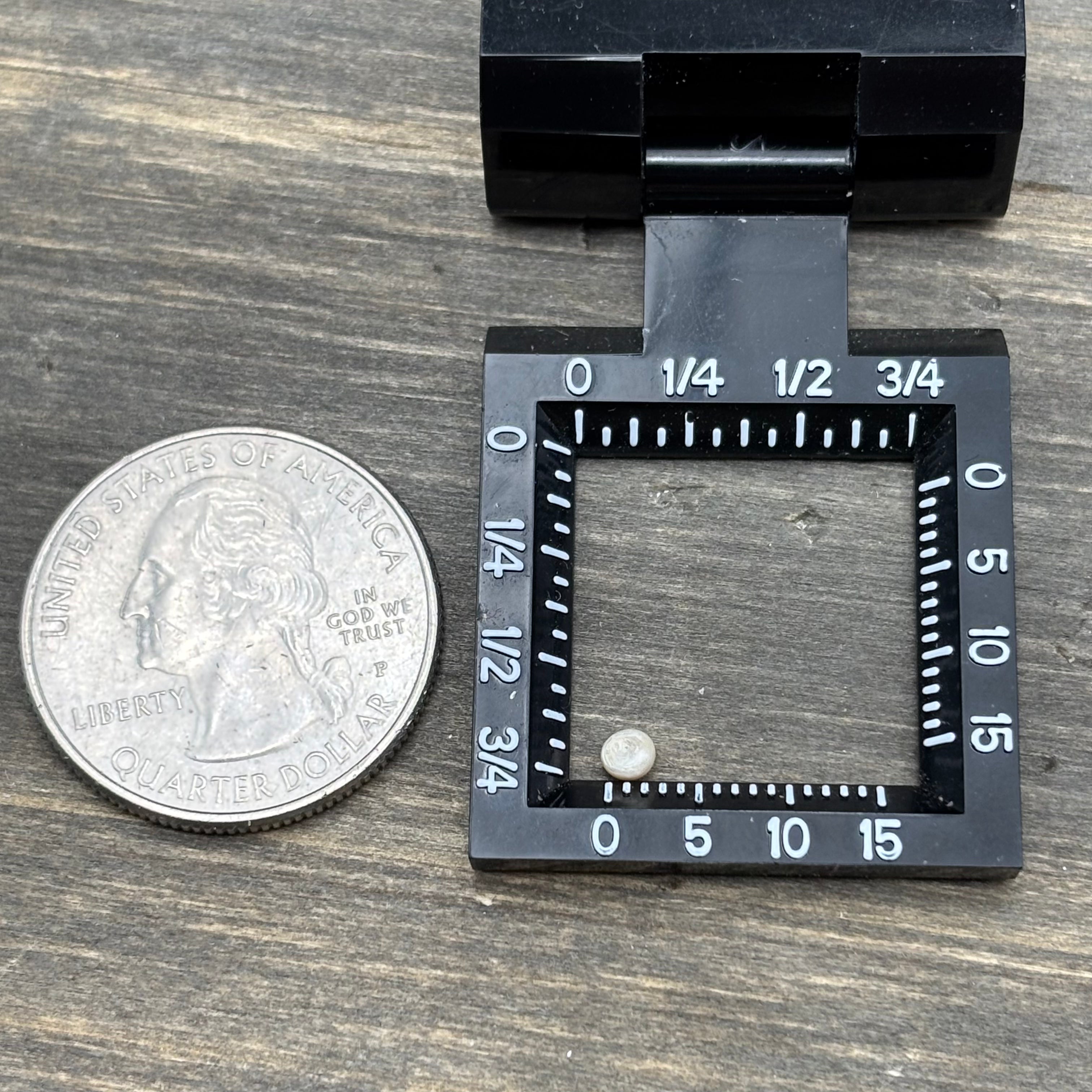 Wild Freshwater Pearl - 062