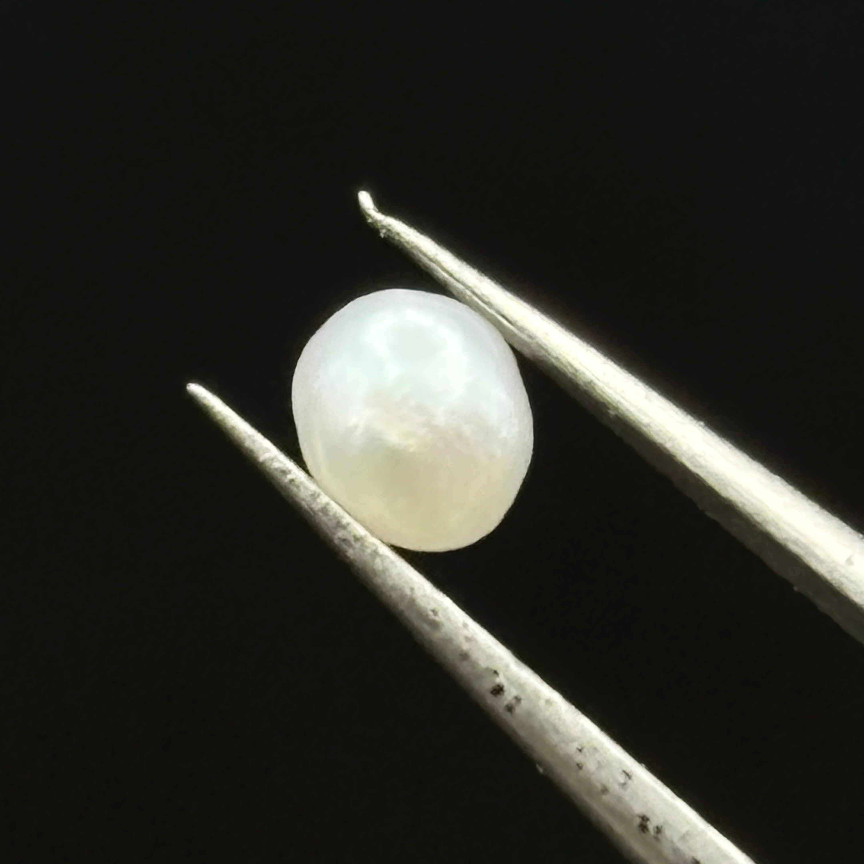 Wild Freshwater Pearl - 063