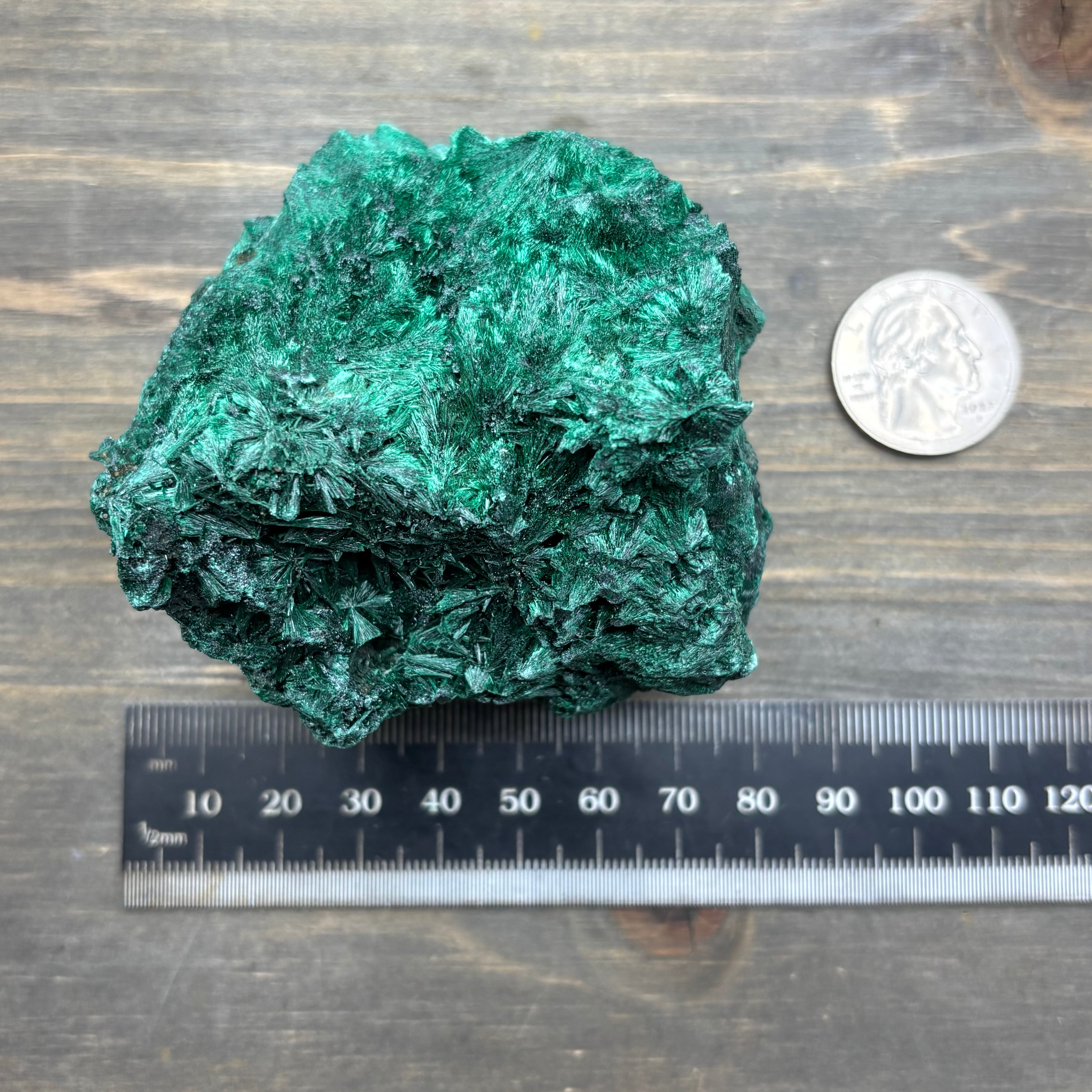 Emperor Malachite - 201