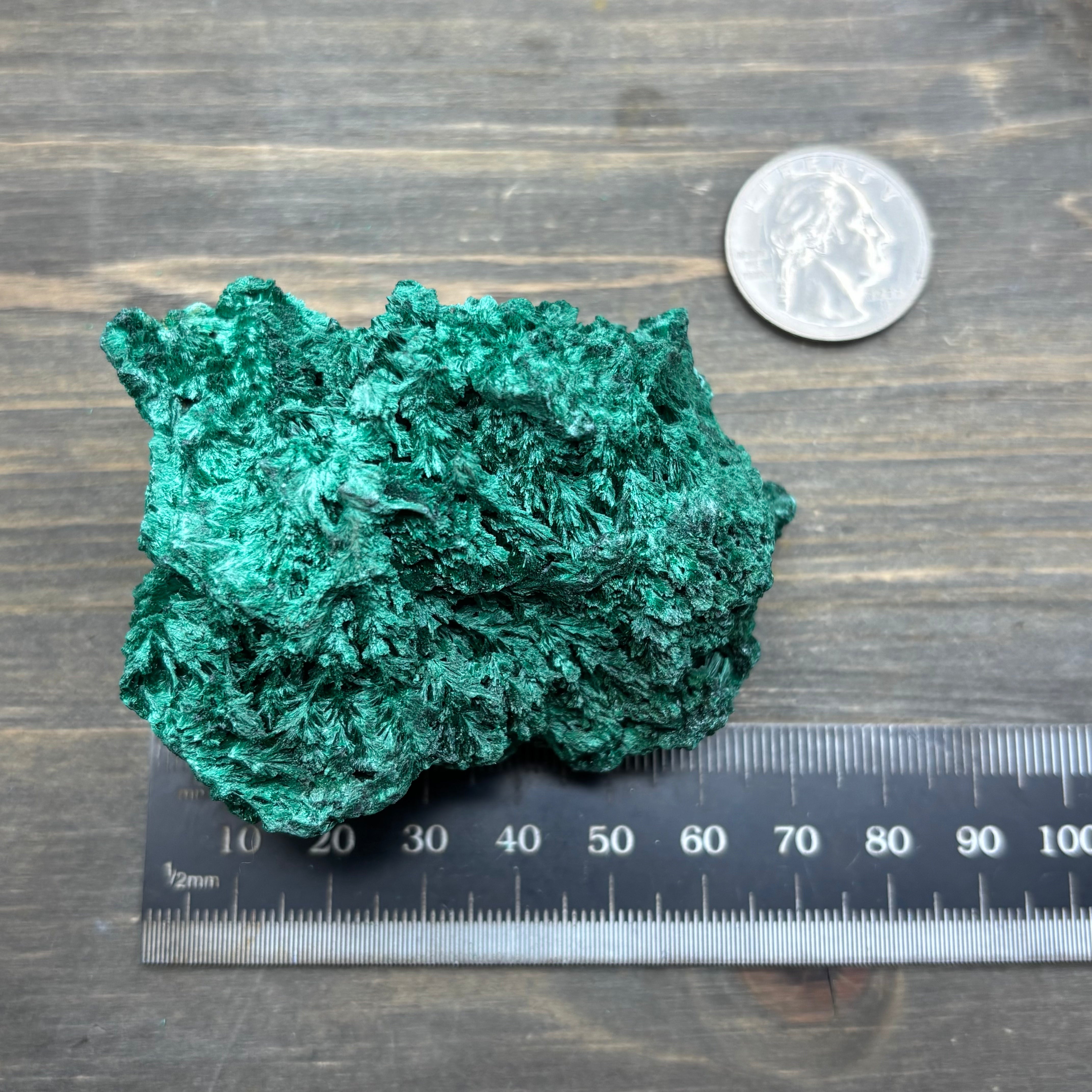 Emperor Malachite - 202