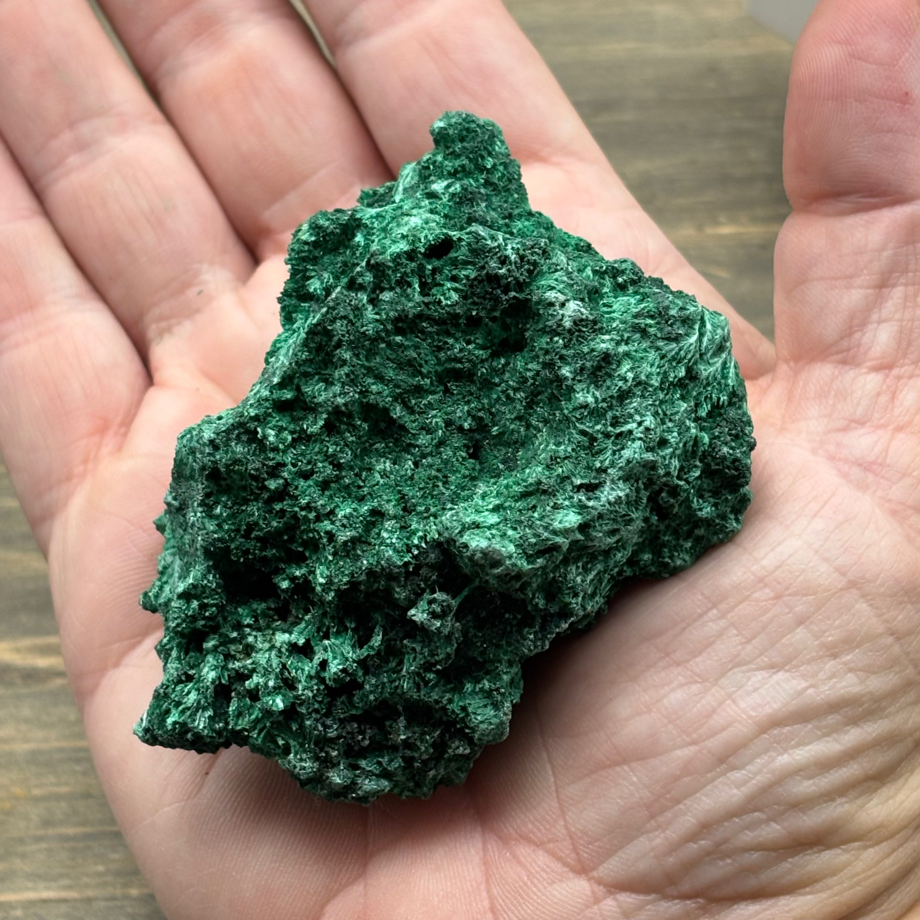 Emperor Malachite - 202