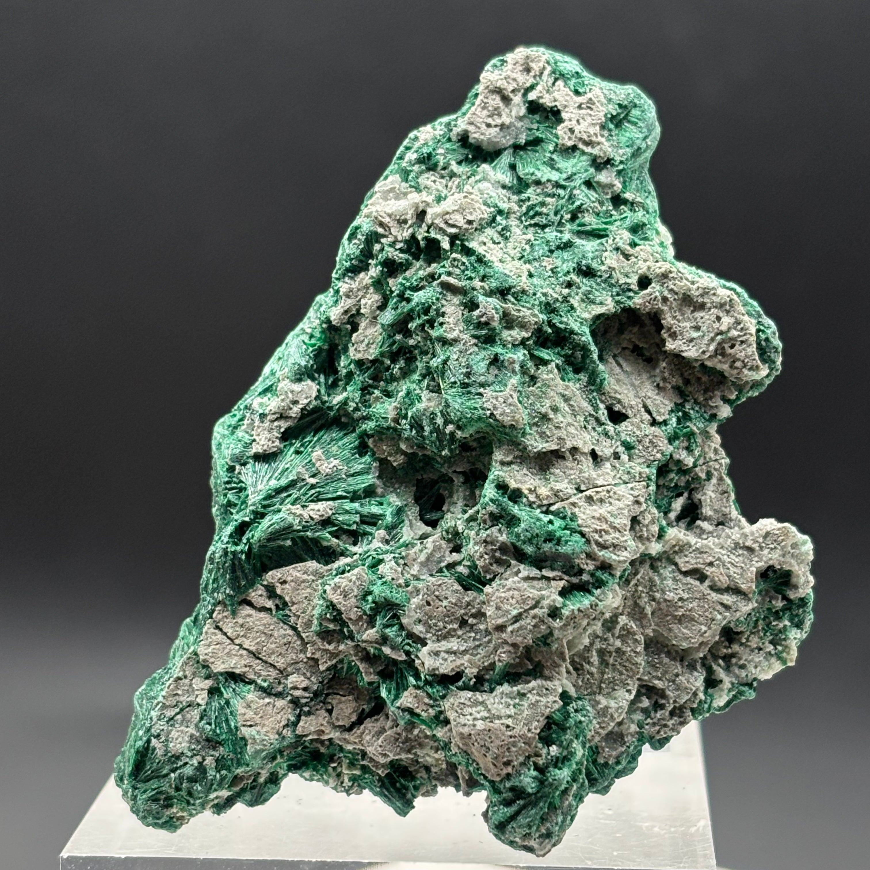 Emperor Malachite - 203