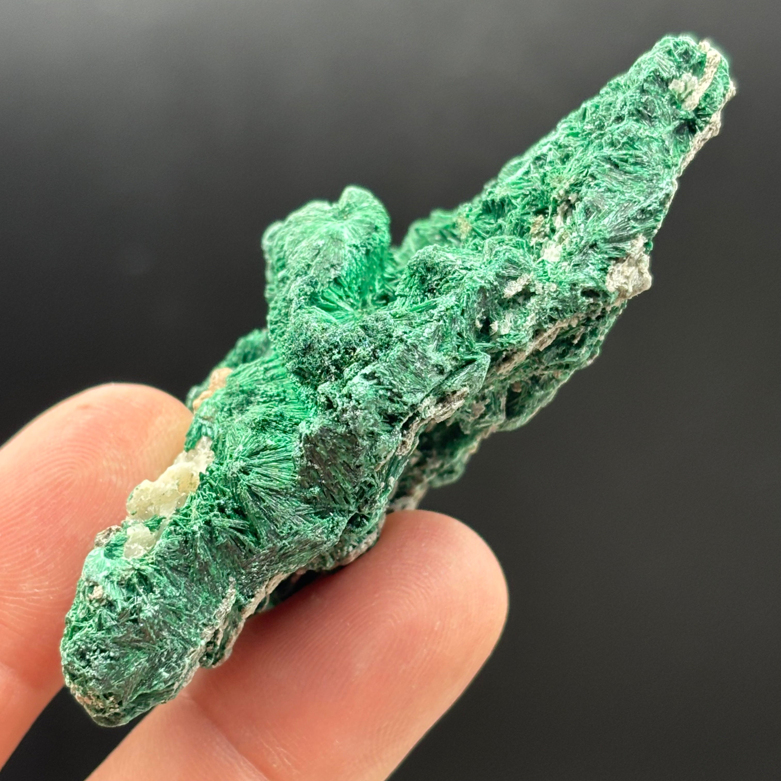 Emperor Malachite - 203