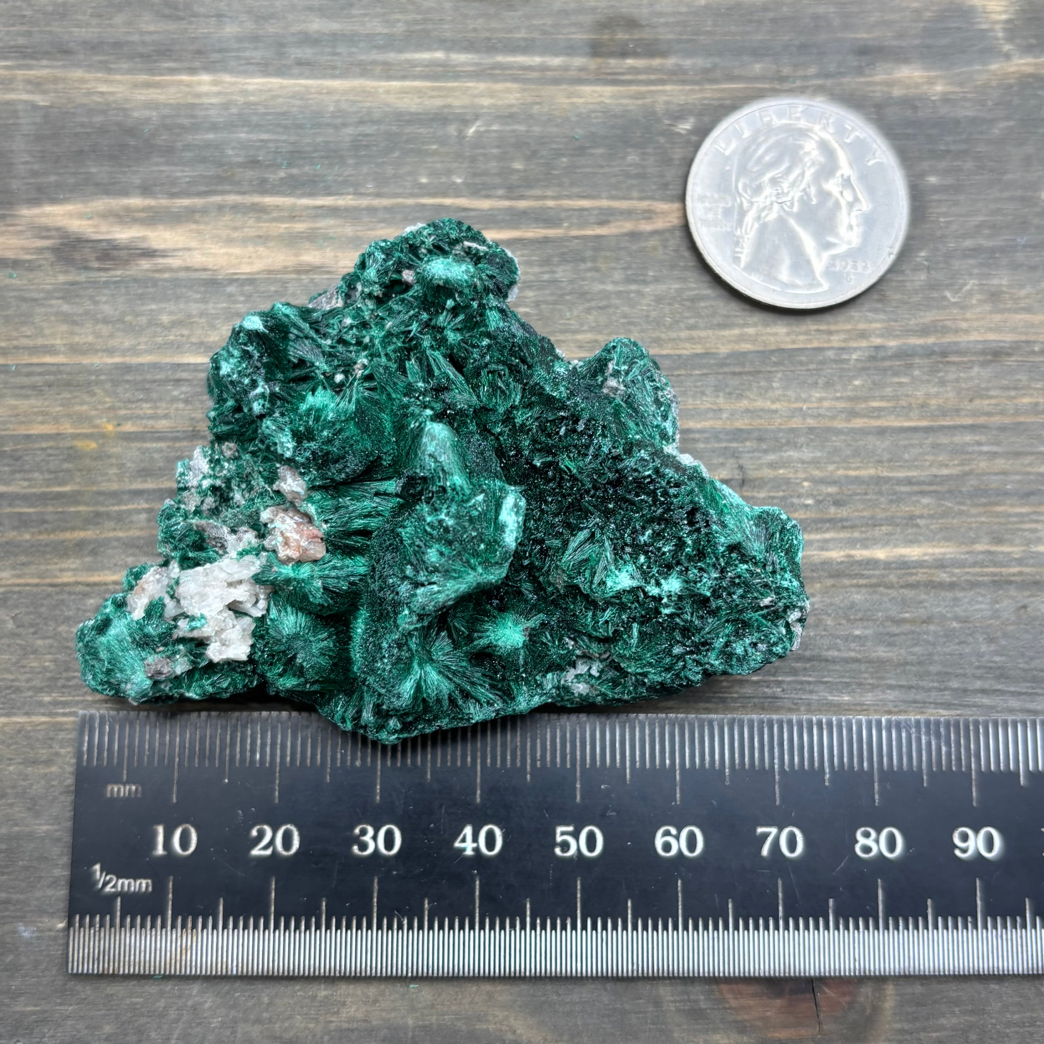 Emperor Malachite - 203