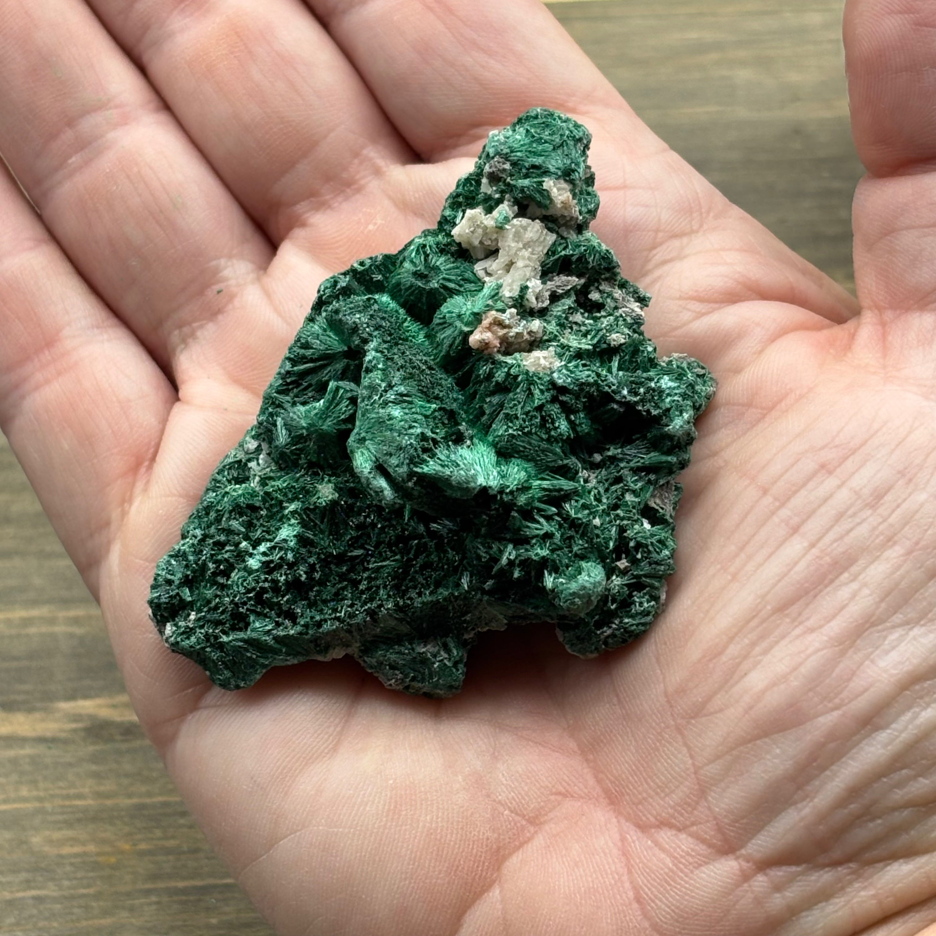 Emperor Malachite - 203