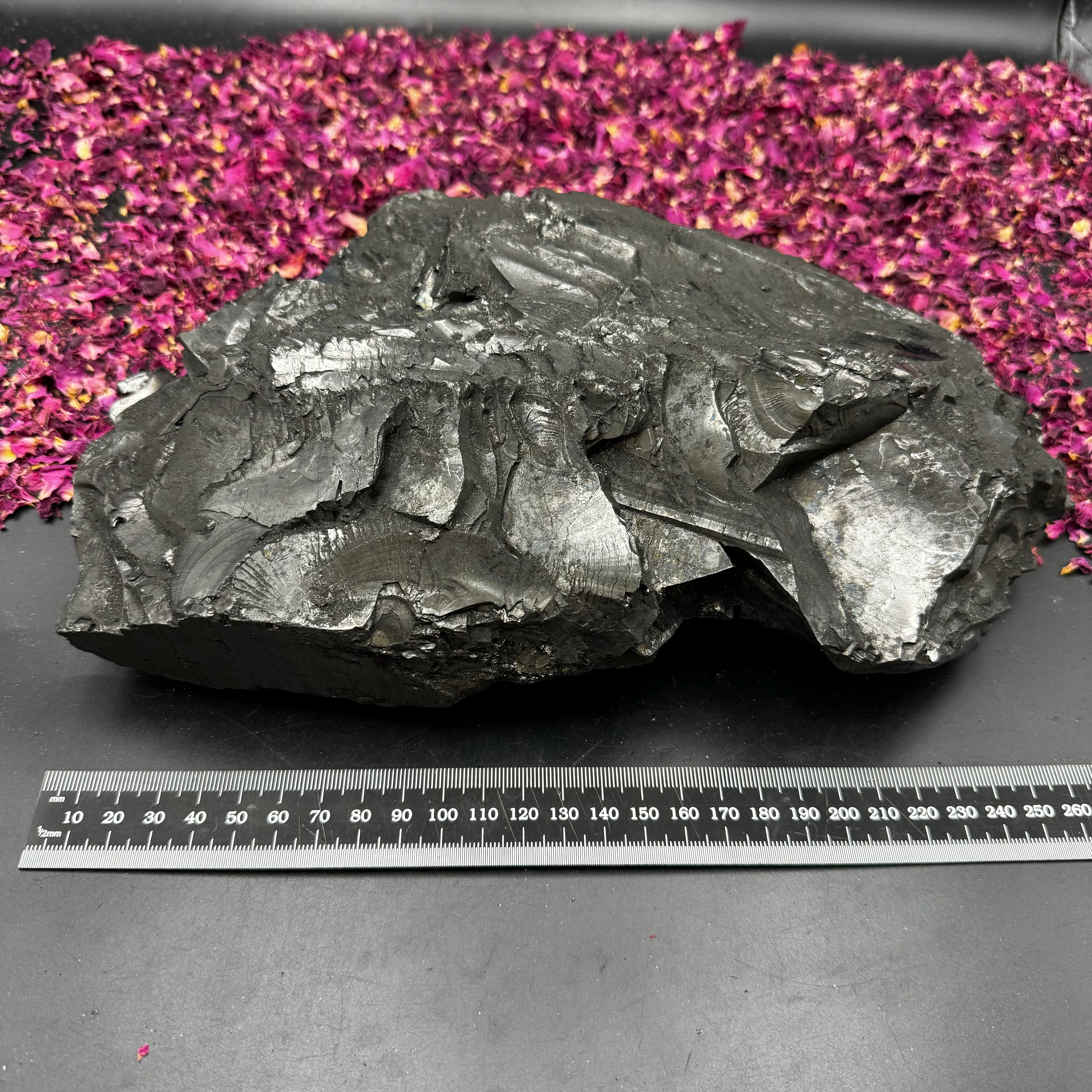 Colombian Shungite, Elite - 136