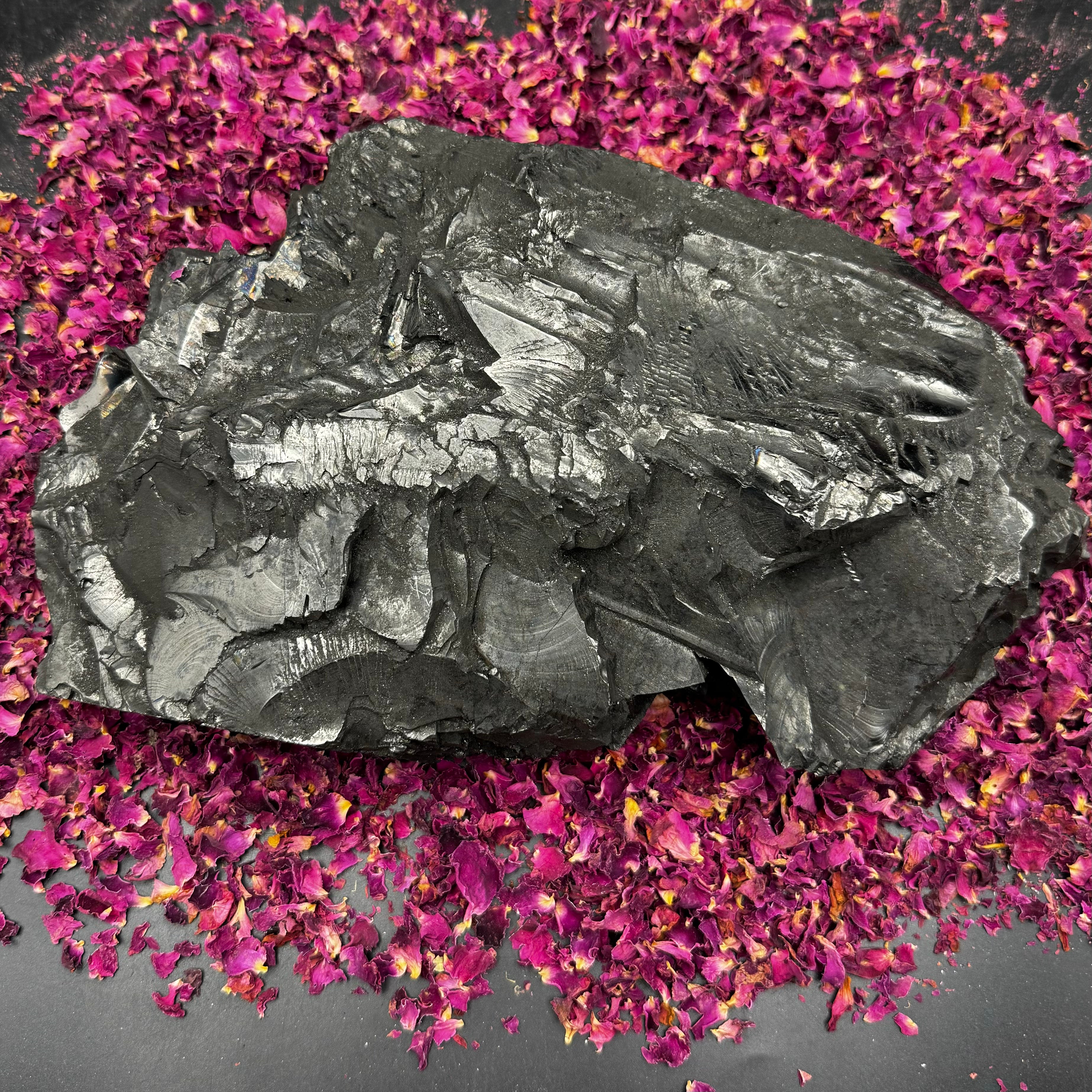 Colombian Shungite, Elite - 136