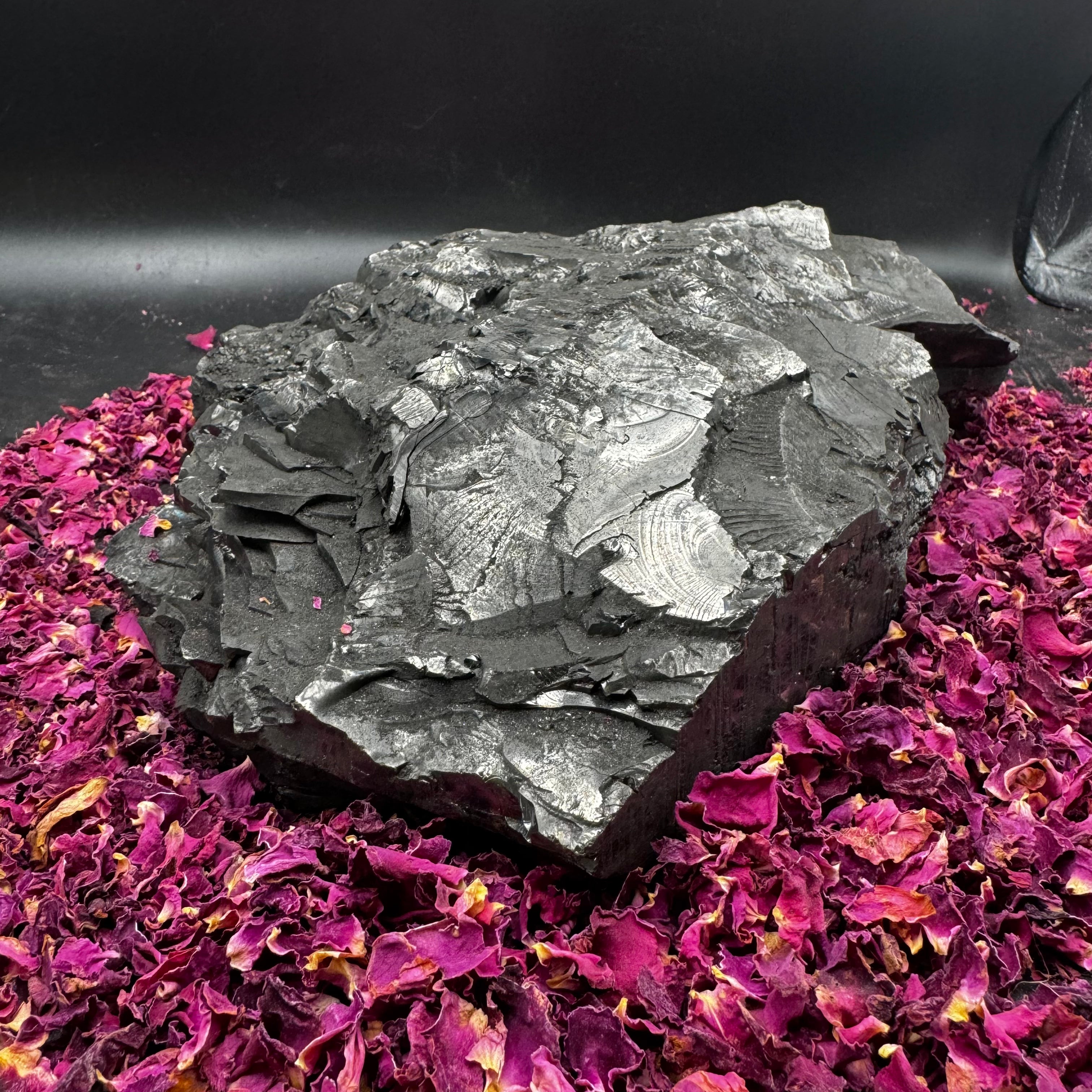 Colombian Shungite, Elite - 136