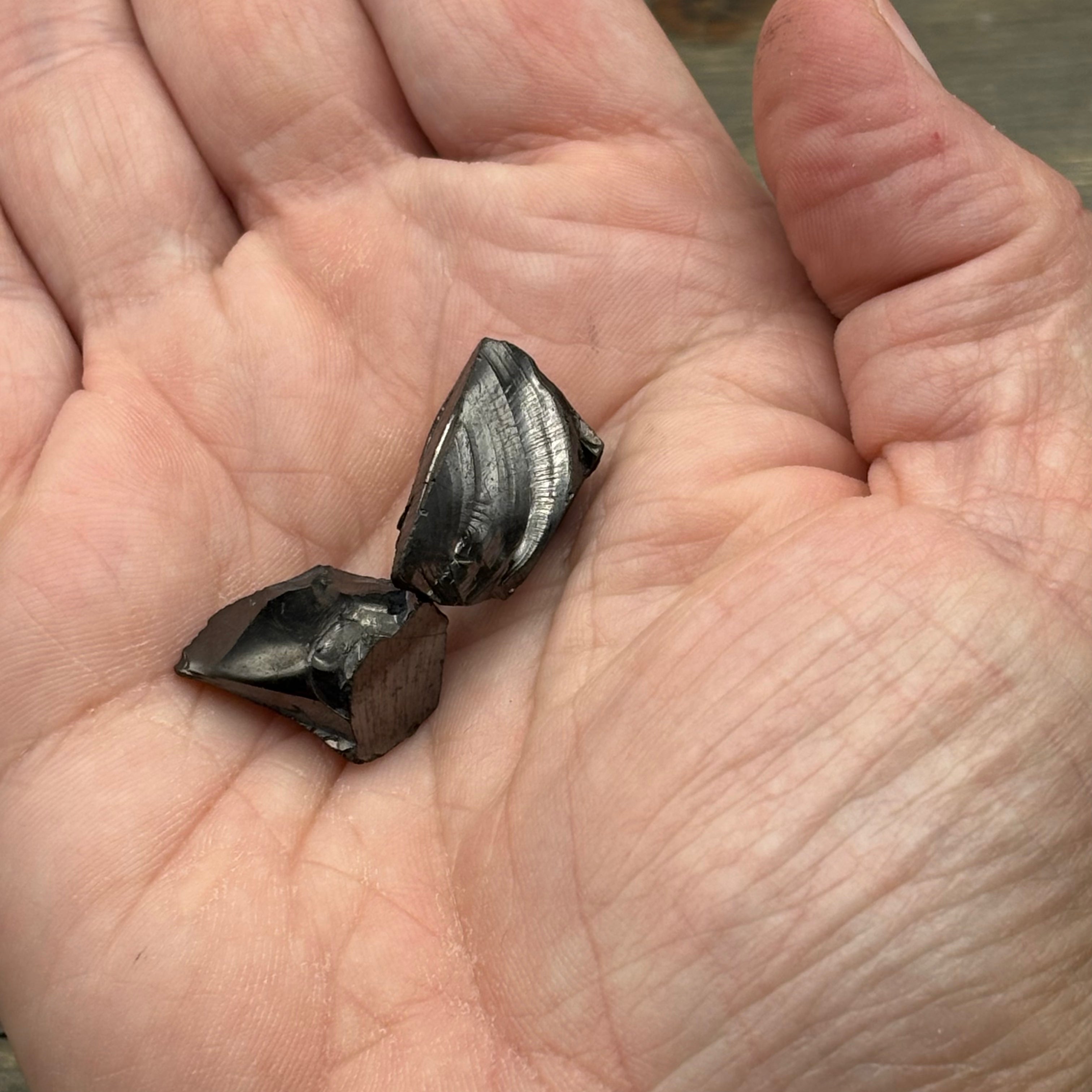 Shungite Point Pair