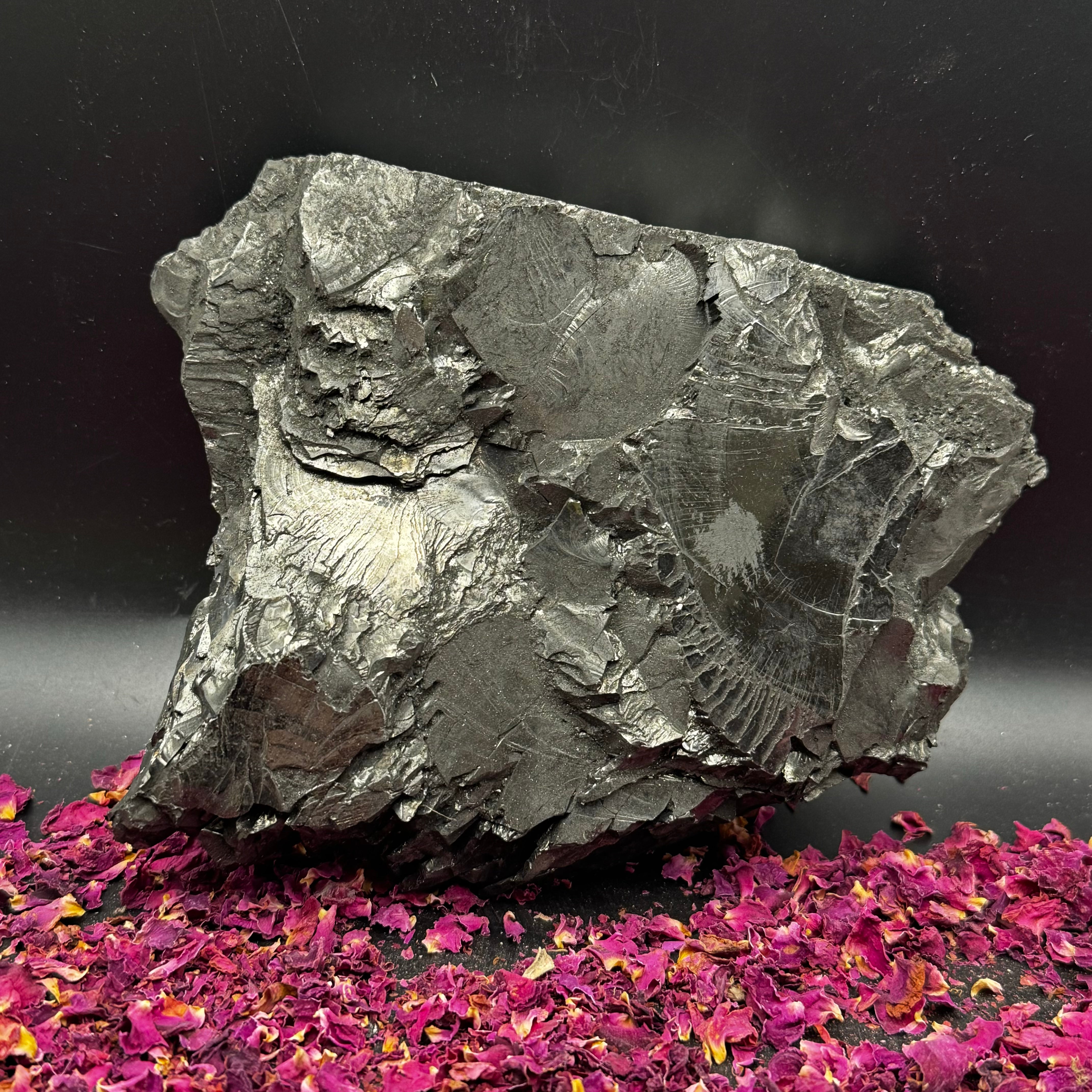 Colombian Shungite, Elite - 137