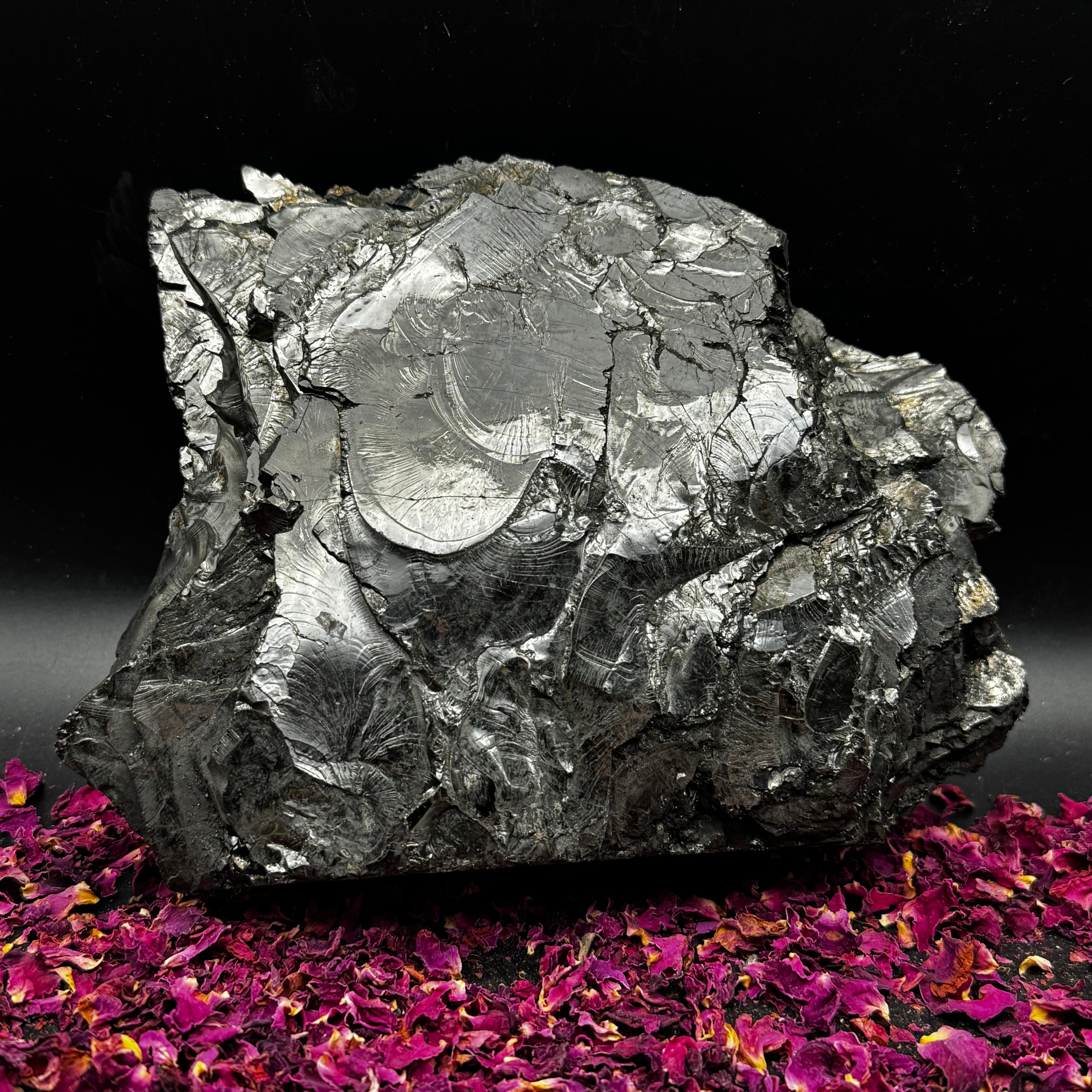 Colombian Shungite, Elite - 137