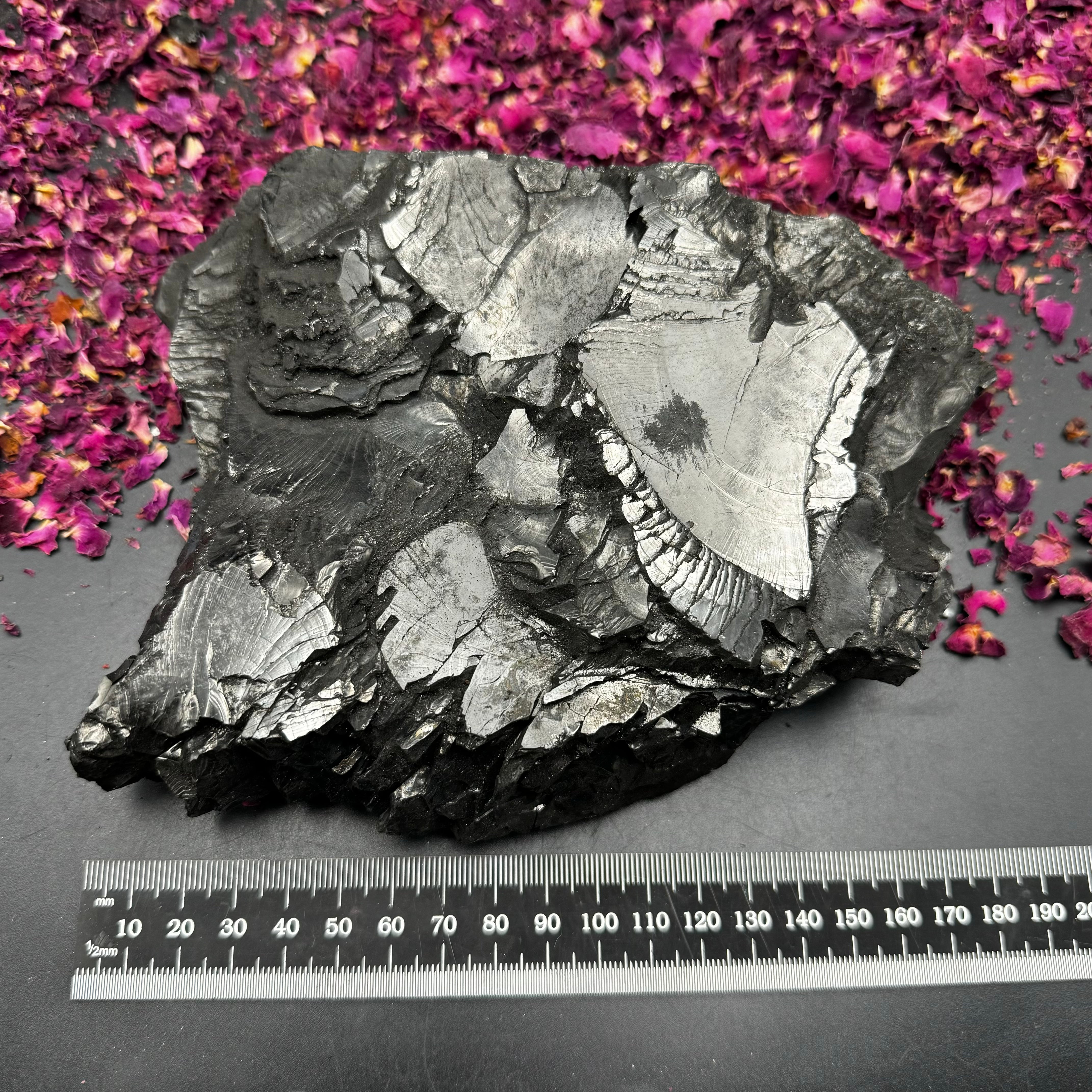 Colombian Shungite, Elite - 137