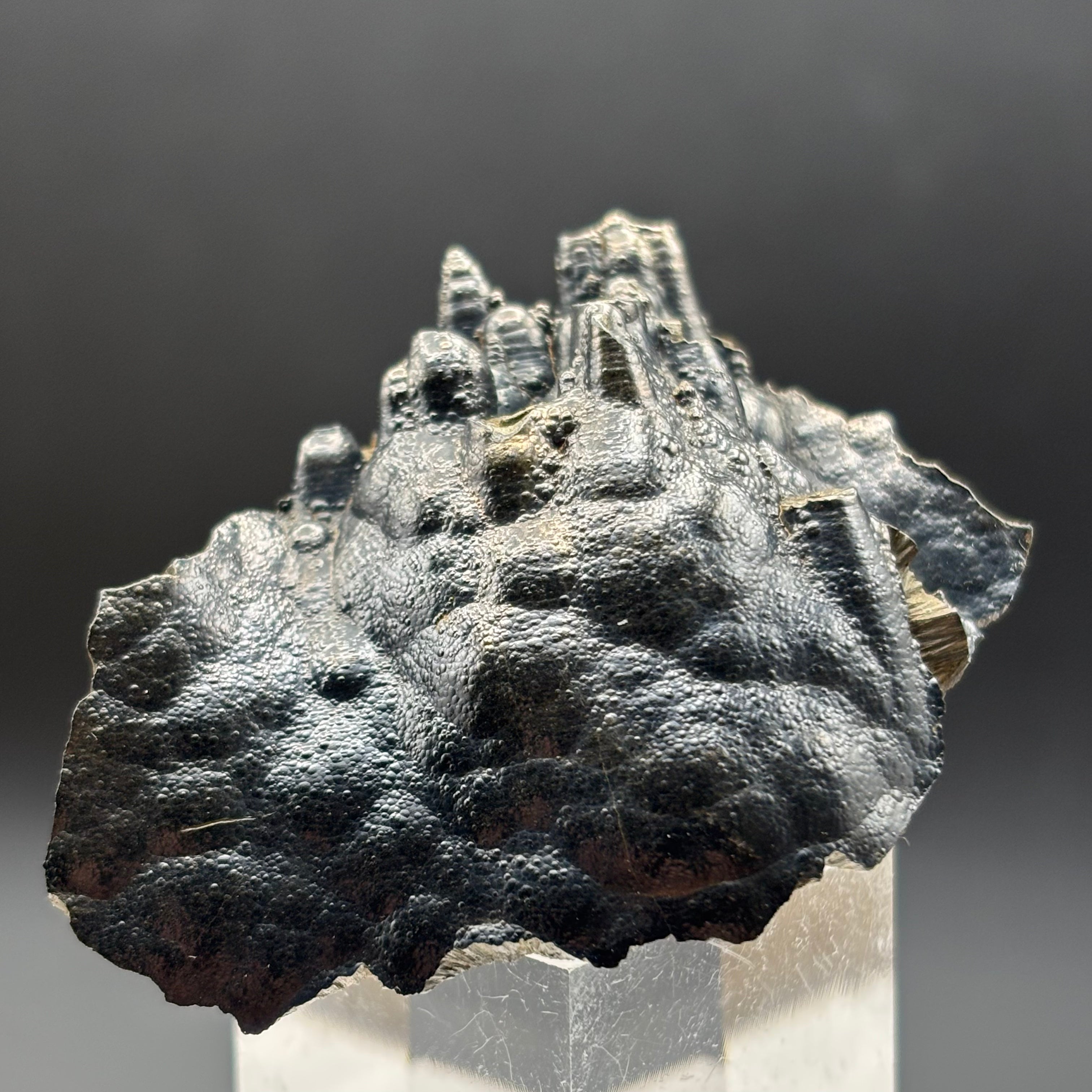 Golden Hematite - 031