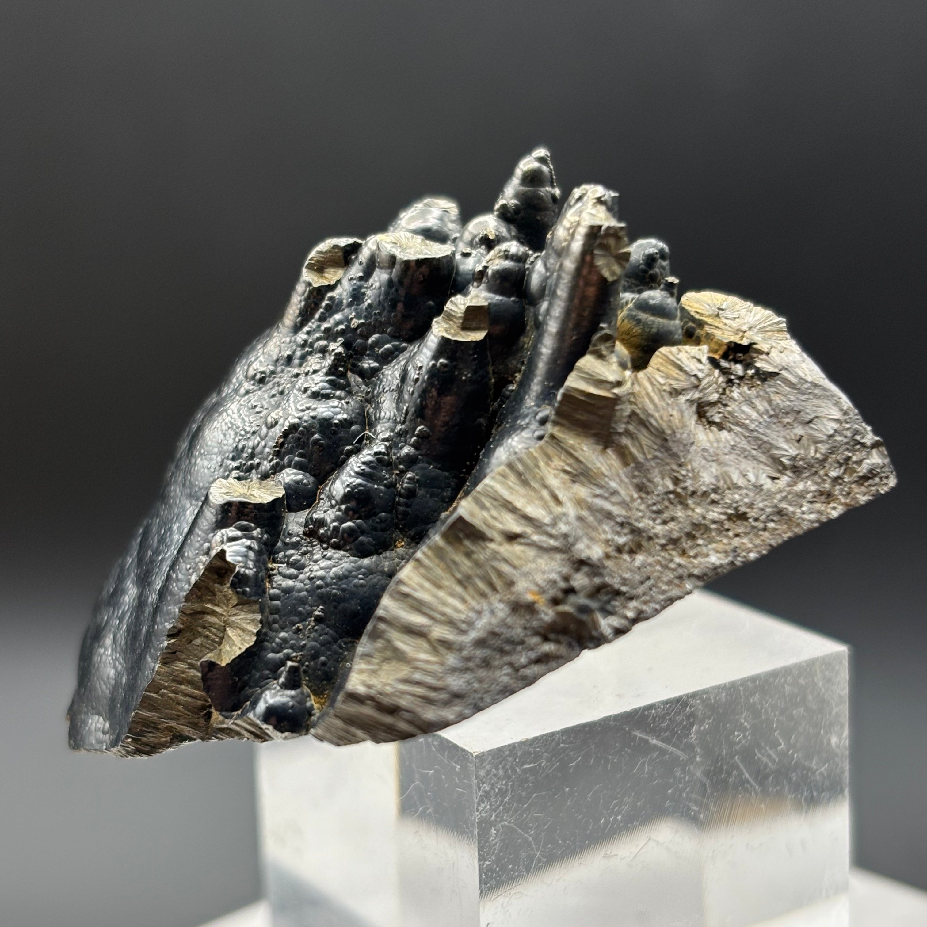 Golden Hematite - 031