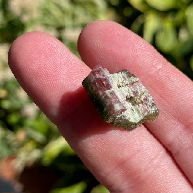 Watermelon Tourmaline - 022