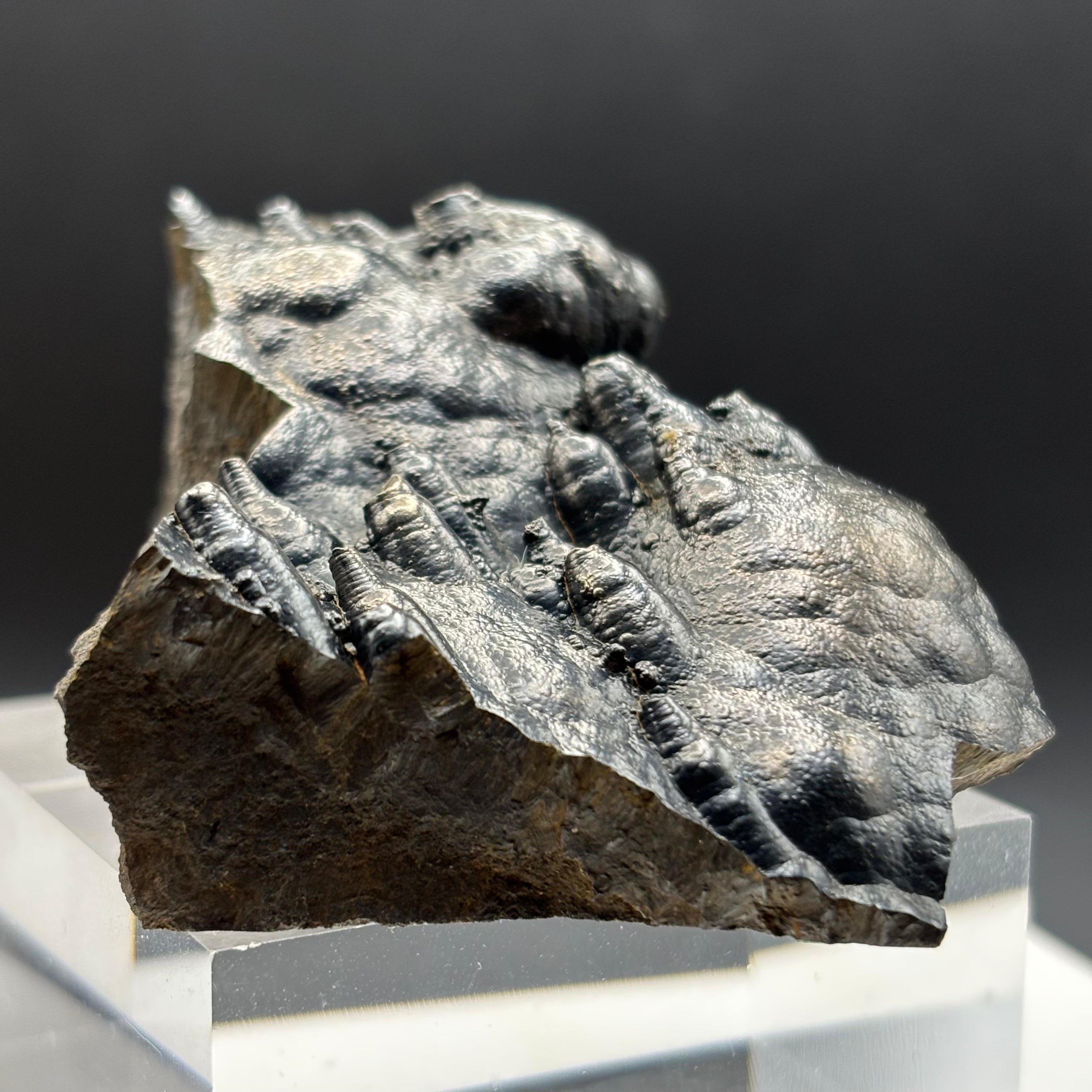 Golden Hematite - 058