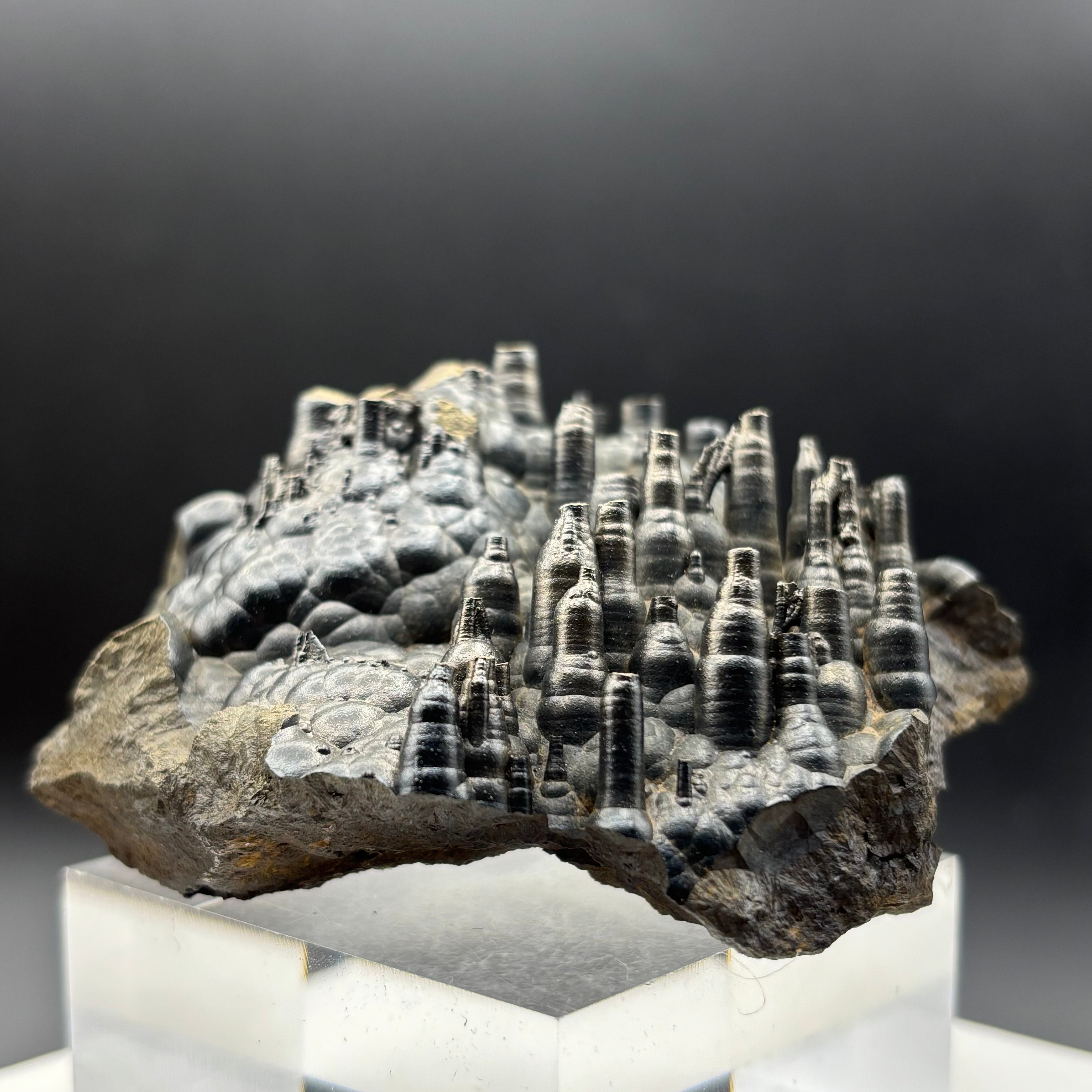 Golden Hematite - 062