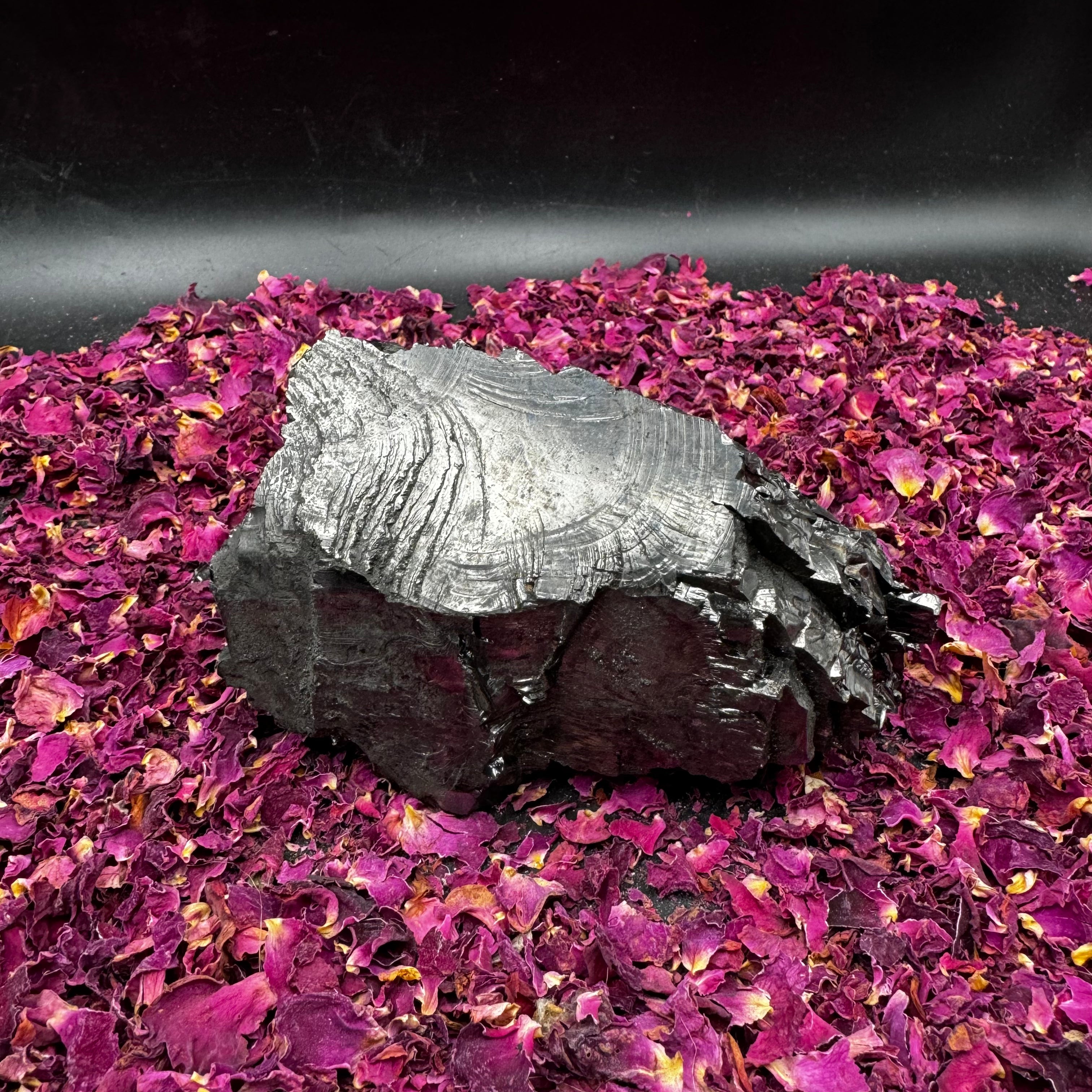 Colombian Shungite, Elite - 099