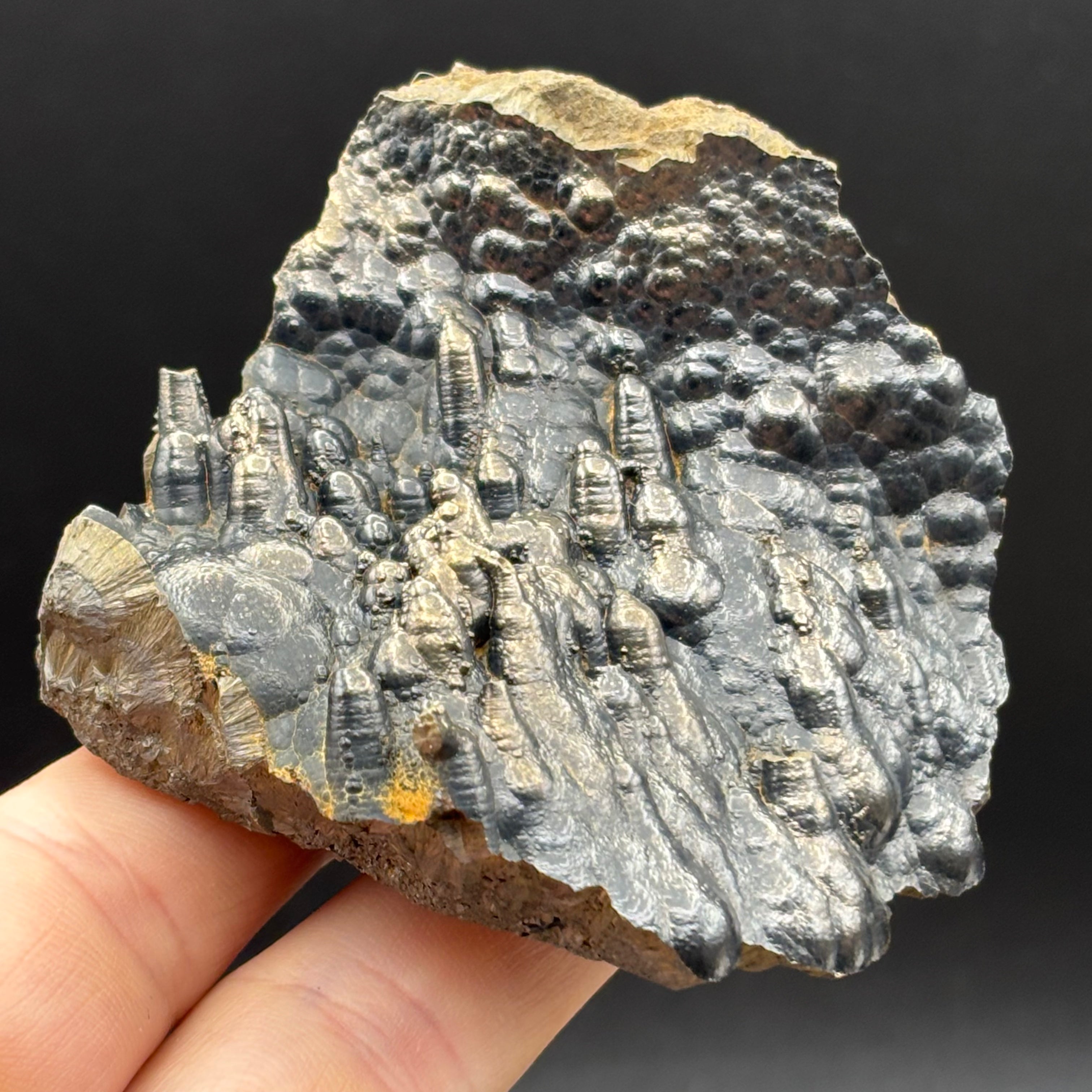 Golden Hematite - 064