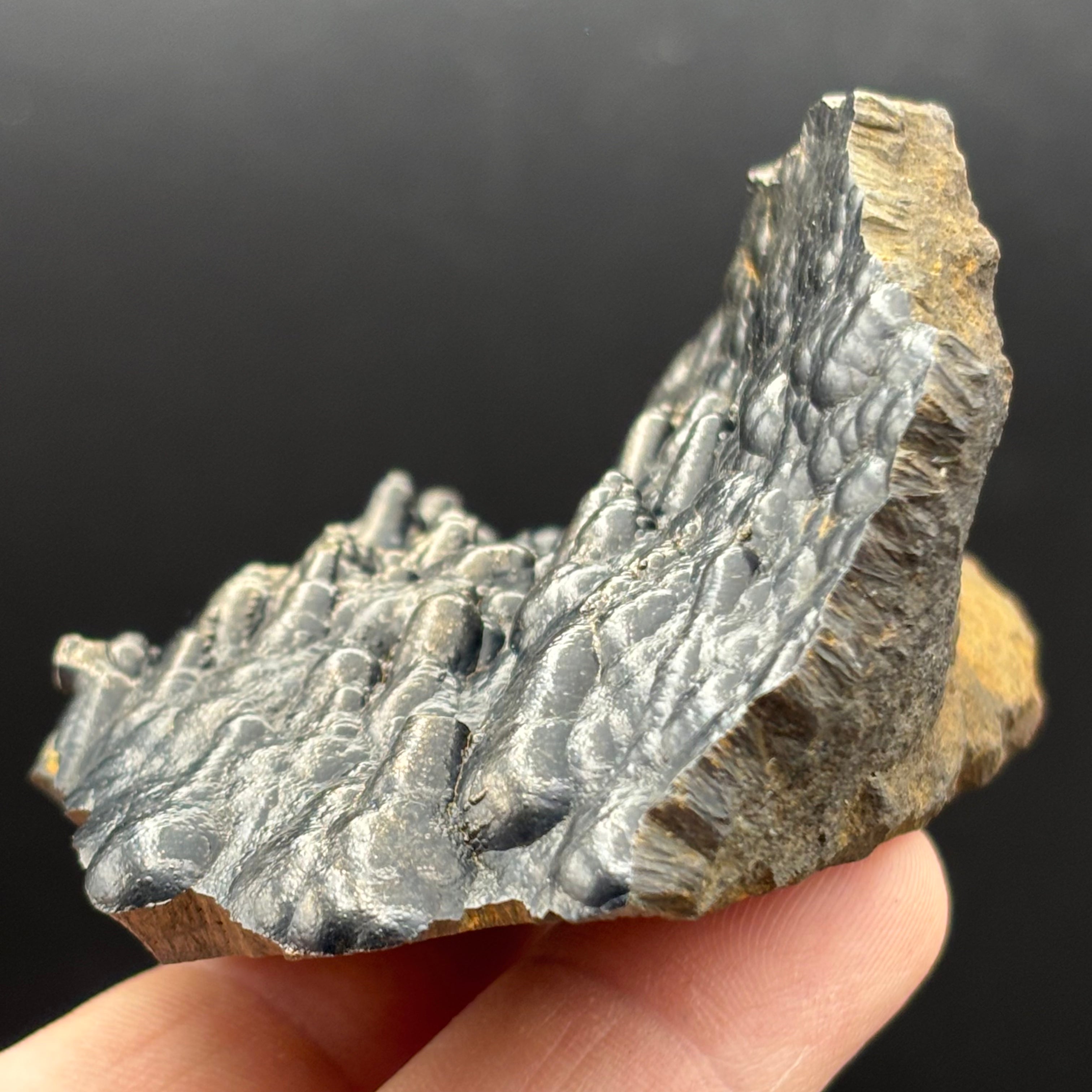 Golden Hematite - 064