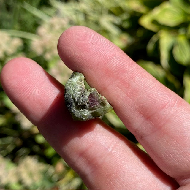 Watermelon Tourmaline - 031