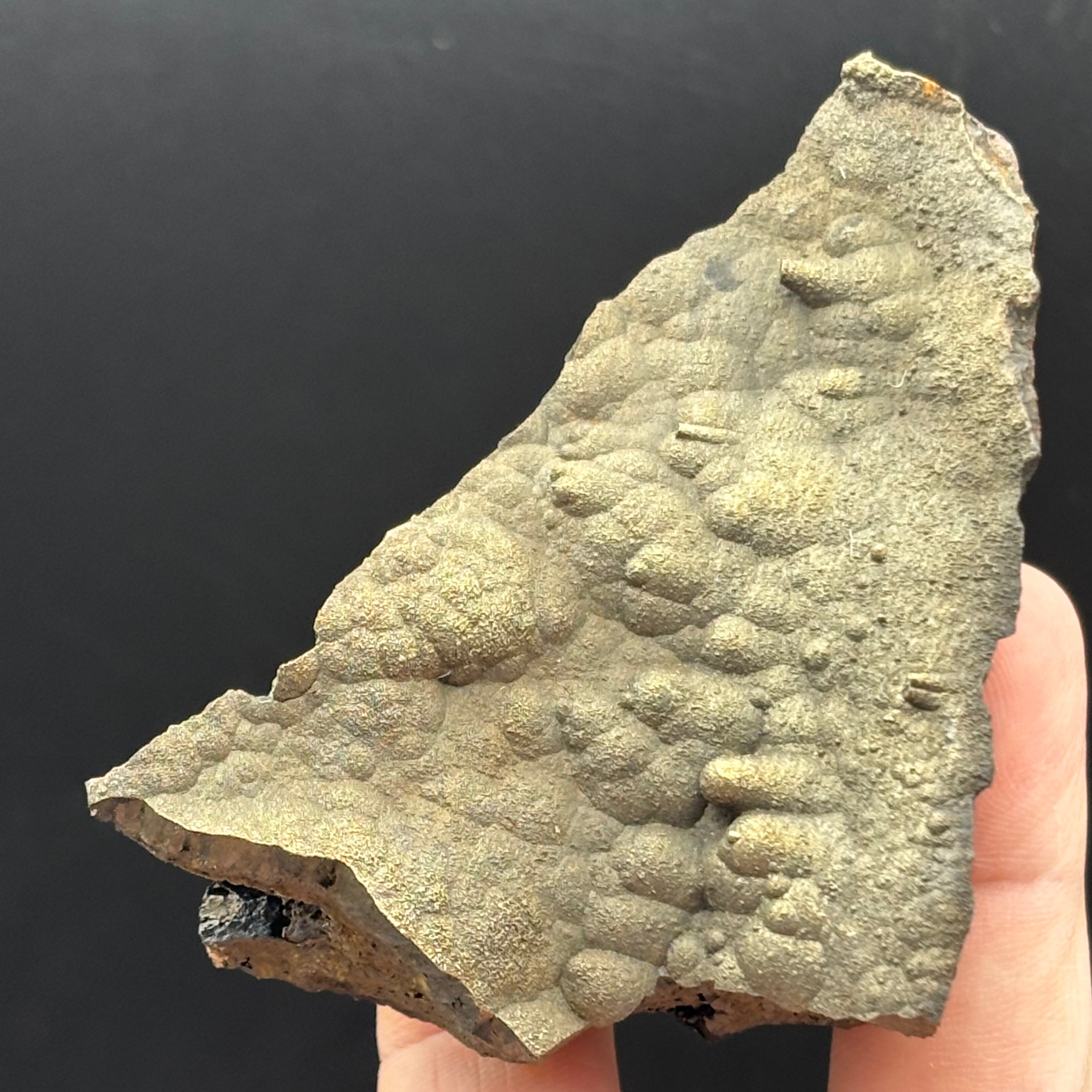 Golden Hematite - 065