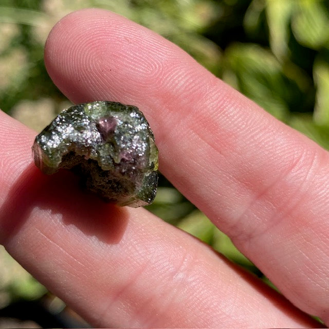 Watermelon Tourmaline - 031
