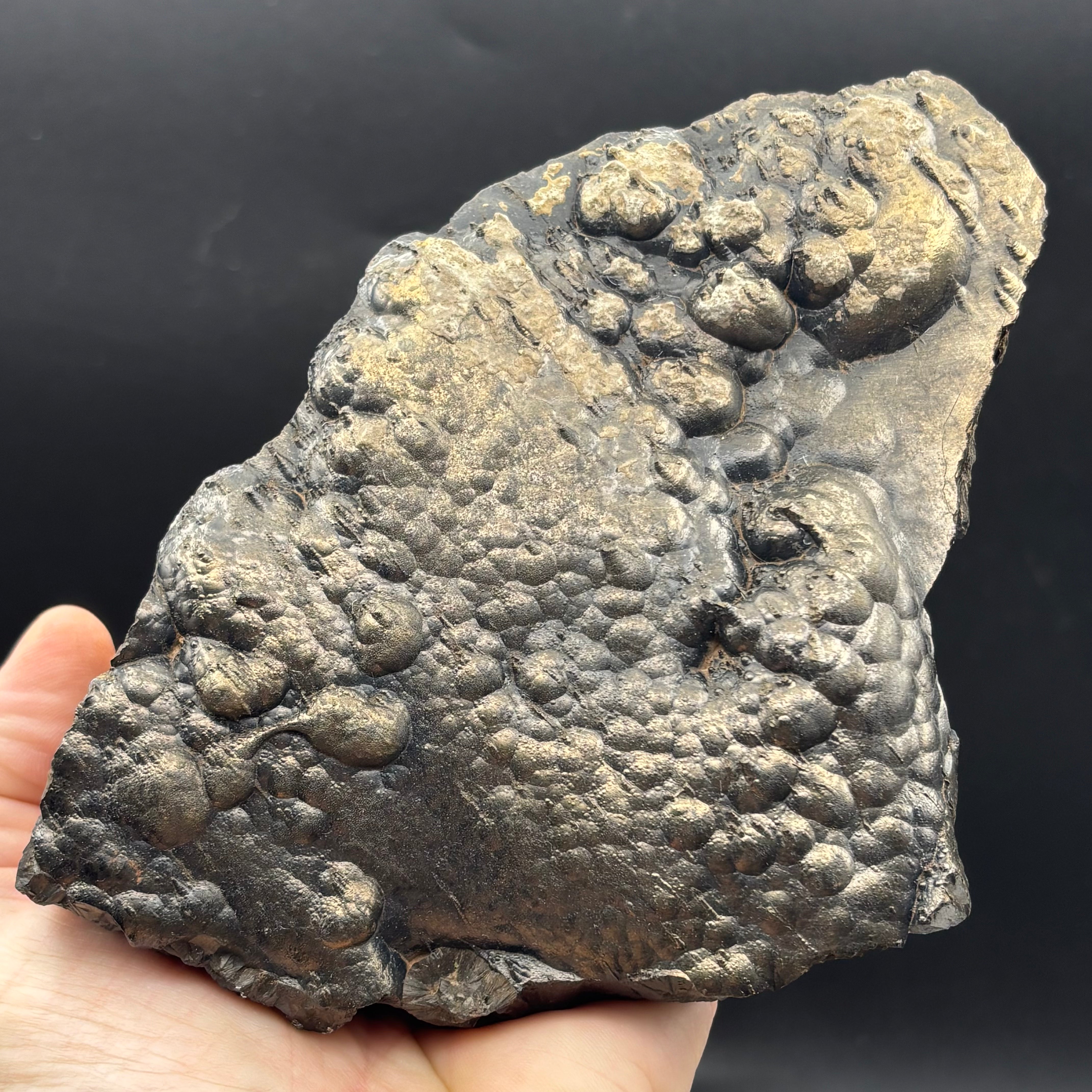 Golden Hematite - 069