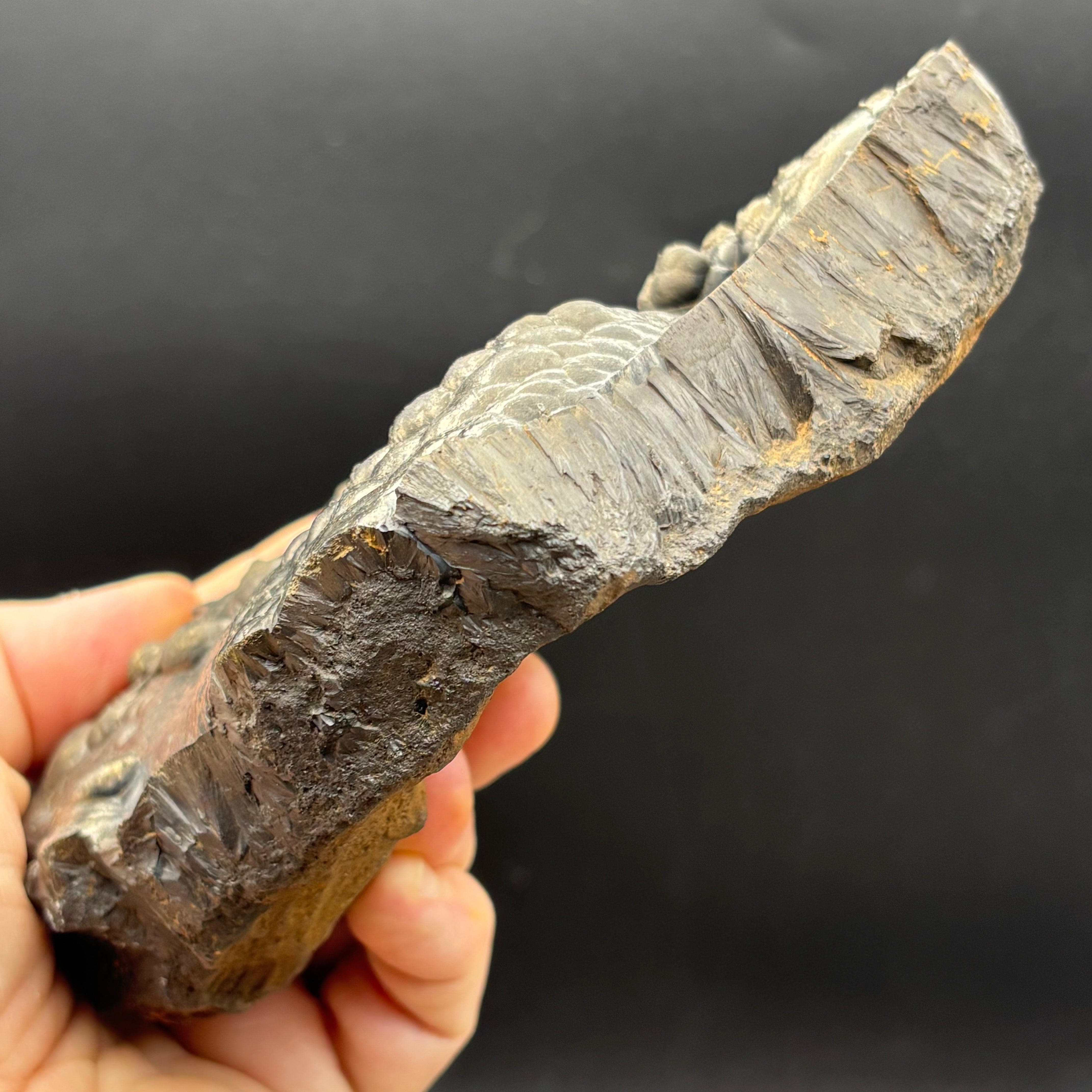 Golden Hematite - 069